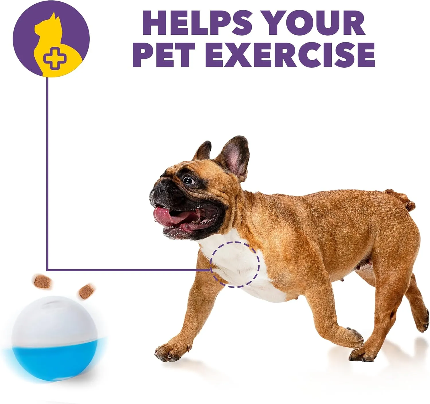 amicus - Crazy Ball Treat Dispenser - Pets Treat Ball - Interactive Treat Dispensing PetsToy - Pets Enrichment Toys - Pets Toys to Keep Them Busy - Slow Feeder - 300g/10.5 oz - White/Blue