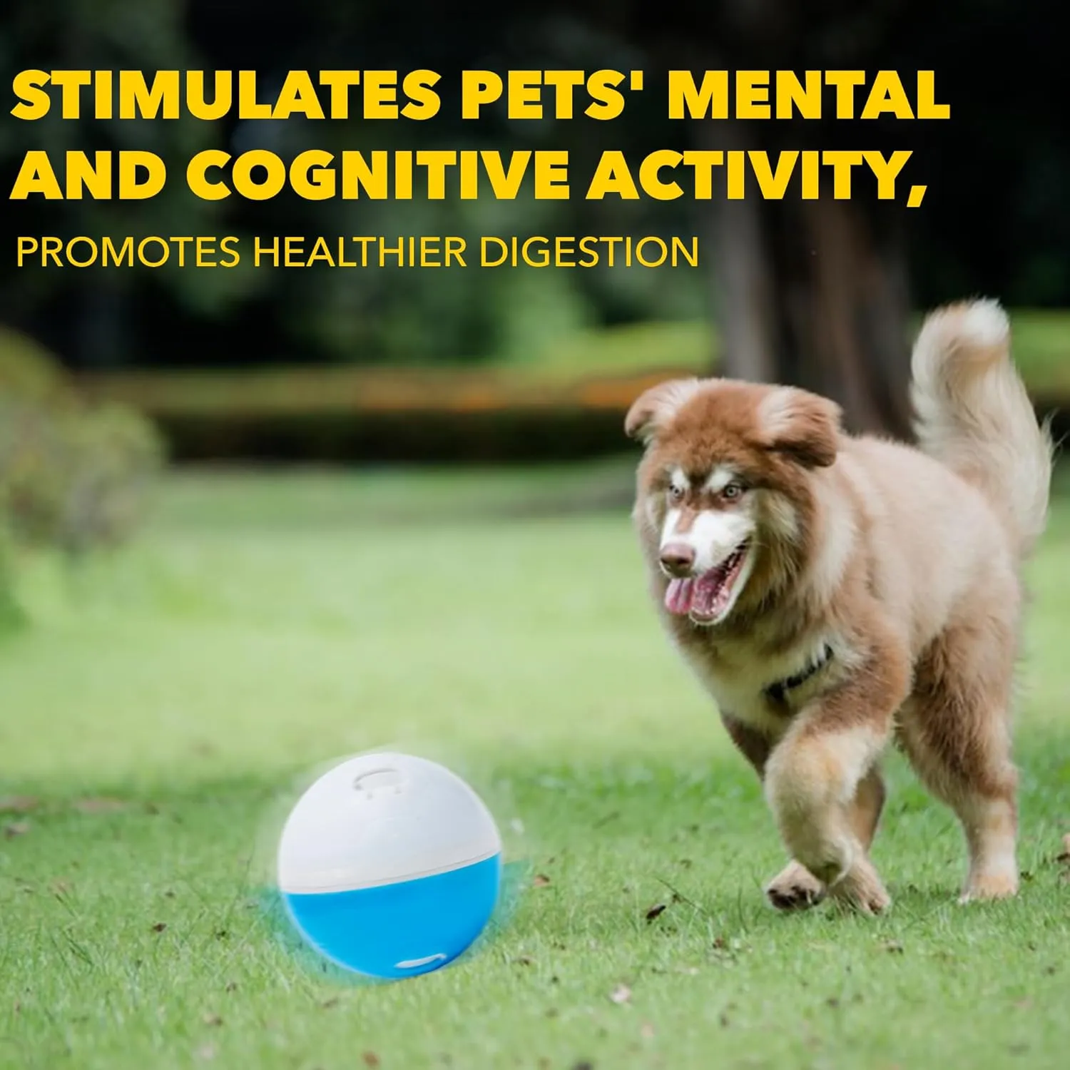 amicus - Crazy Ball Treat Dispenser - Pets Treat Ball - Interactive Treat Dispensing PetsToy - Pets Enrichment Toys - Pets Toys to Keep Them Busy - Slow Feeder - 300g/10.5 oz - White/Blue