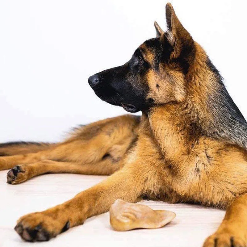 Barkbone Natural Instincts Nylon Pig Ear