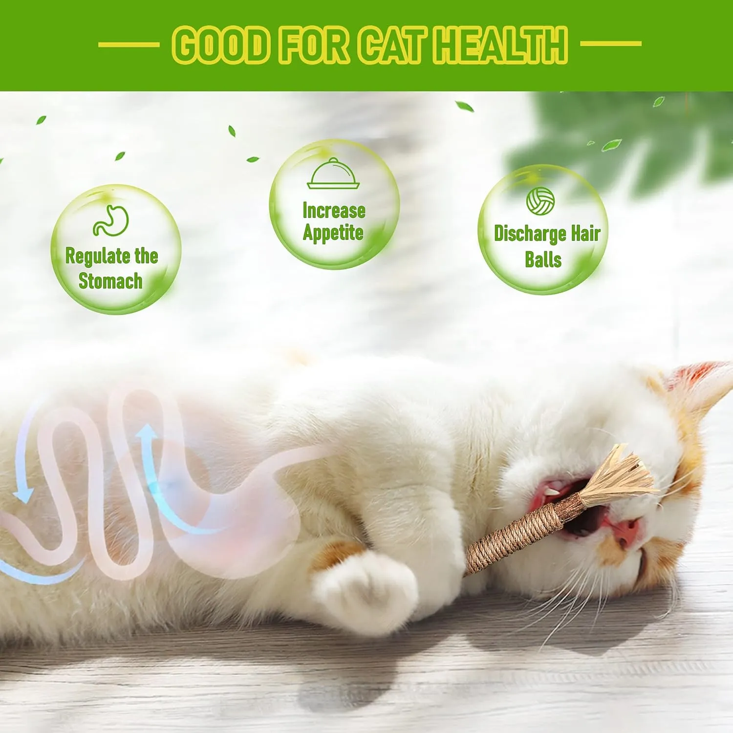 BAWAN Catnip Toys, Silvervine for Cats: Cute Kitten Toys for Indoor Interactive Play, Teething Chew Toys for Aggressive Chewers, Dental Toy Sticks (5PCS)