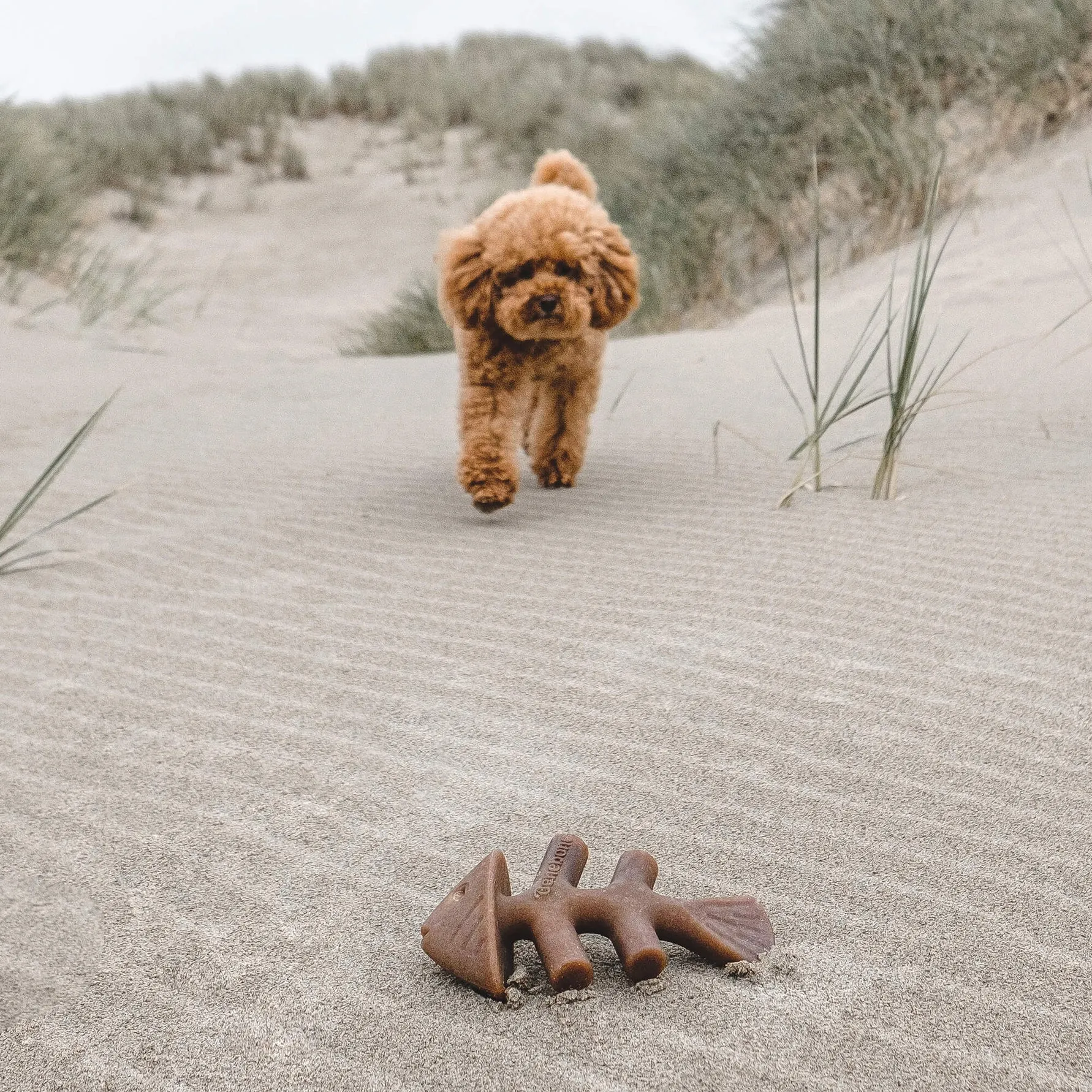 Benebone Fishbone