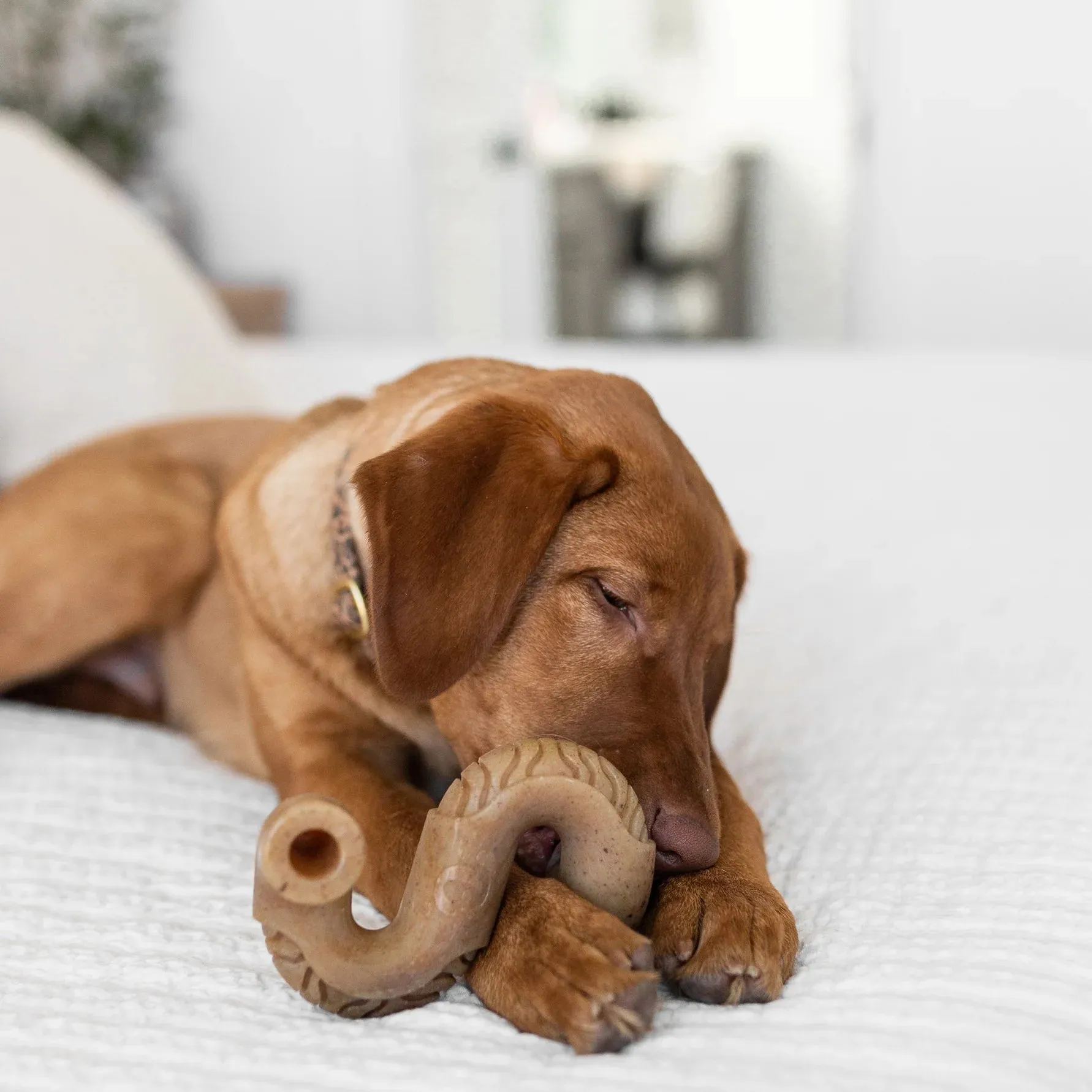 Benebone Tripe Bone