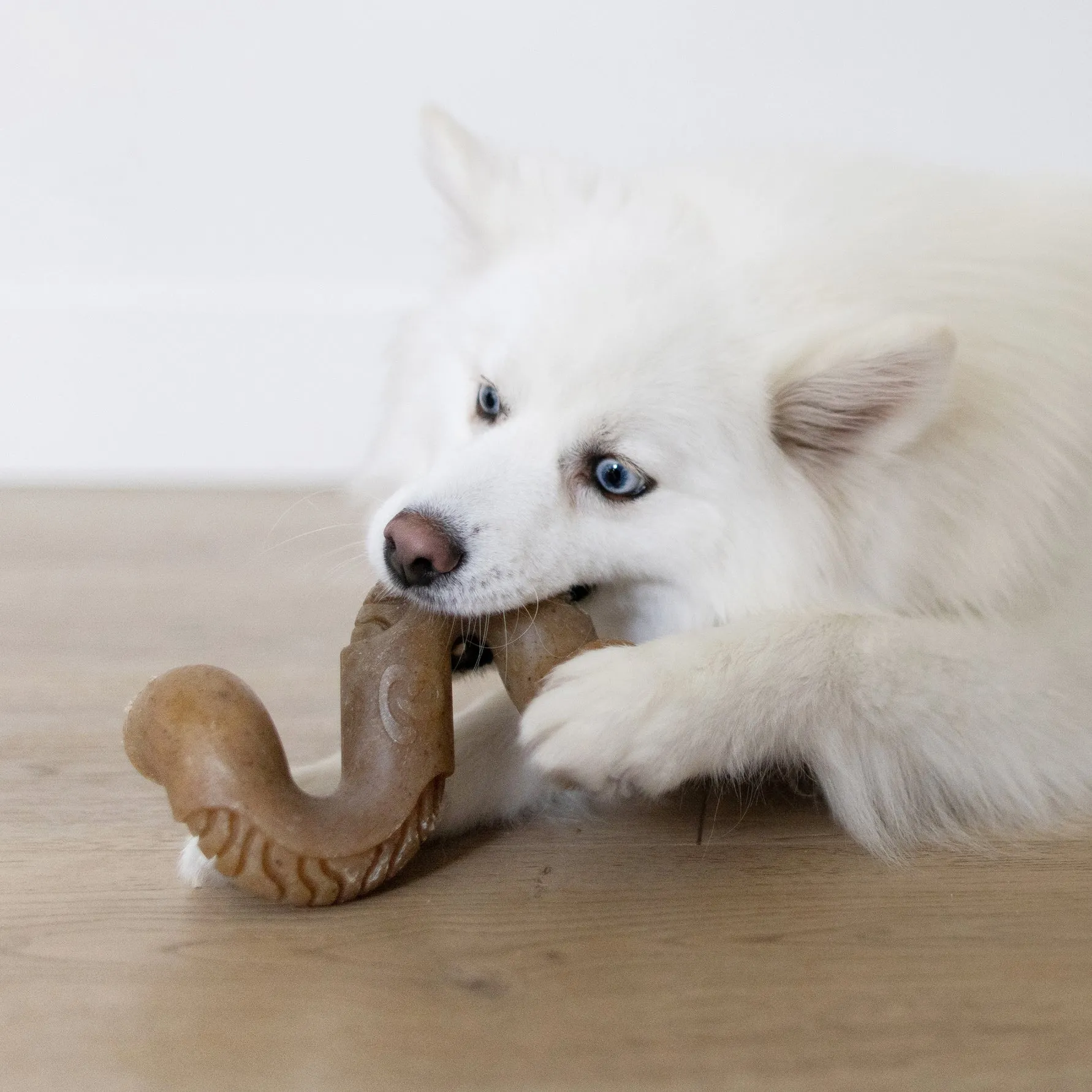 Benebone Tripe Bone
