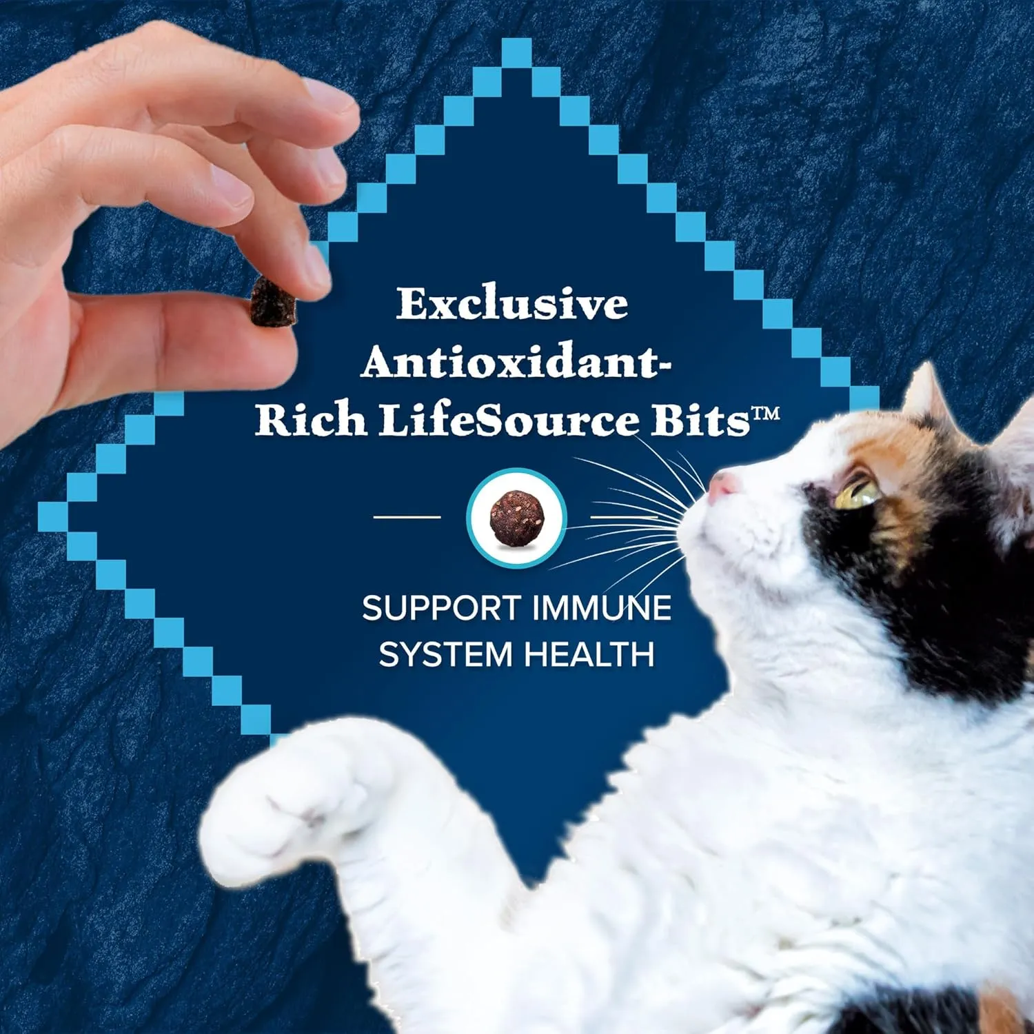 Blue Buffalo Wilderness High-Protein, Grain-Free Natural Dry Food for Adult Cats, Indoor Hairball Control, Chicken, 11-lb. Bag