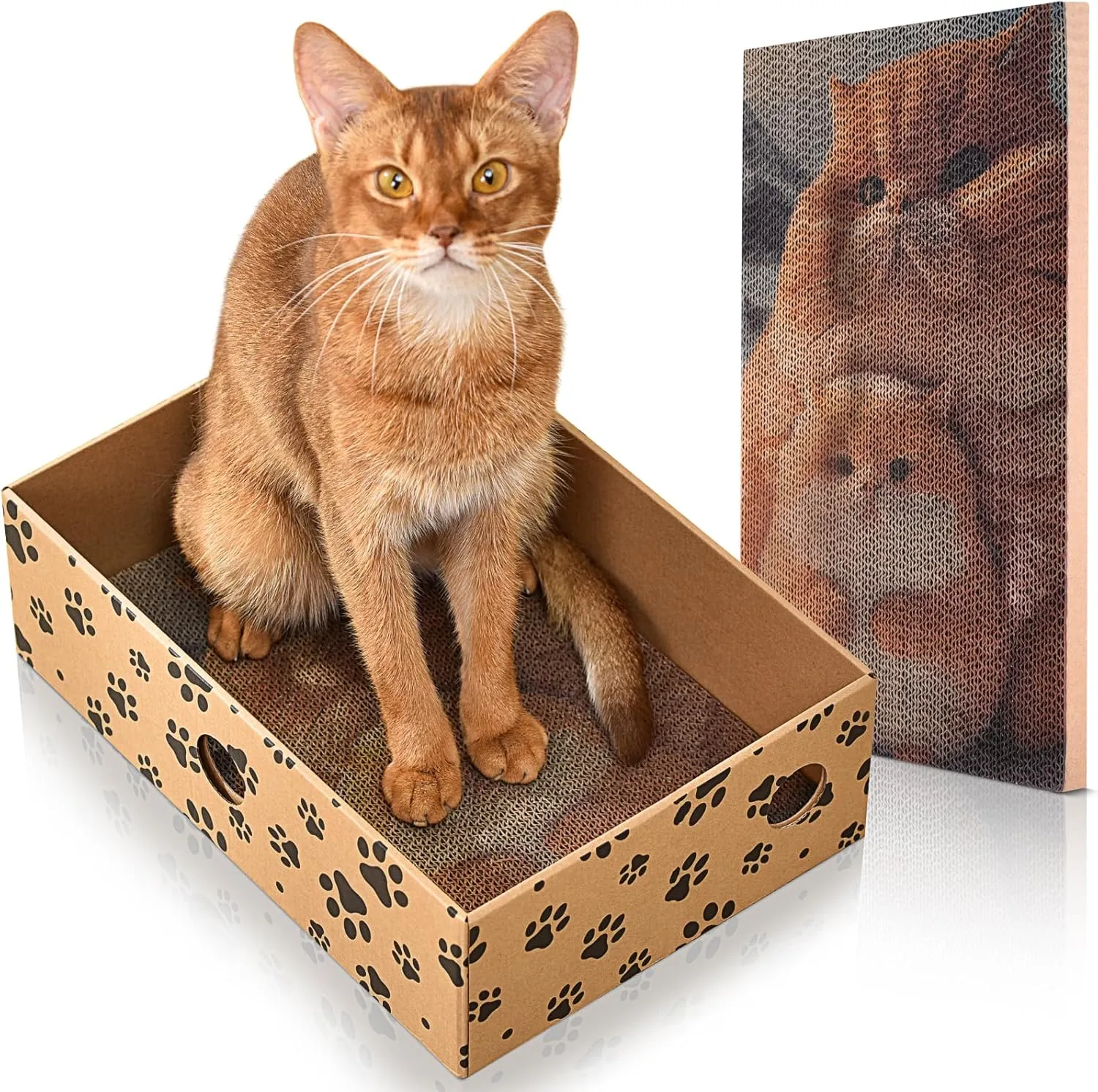 Cardboard Cat Scratcher for Indoor Cats, Cardboard Cat Scratching Board, Cat Scratch Pad, Cat Toys for Indoor Cats Interactive Hole Design, Suitable for Kittens or Small Adult Cats Under 13 Lbs