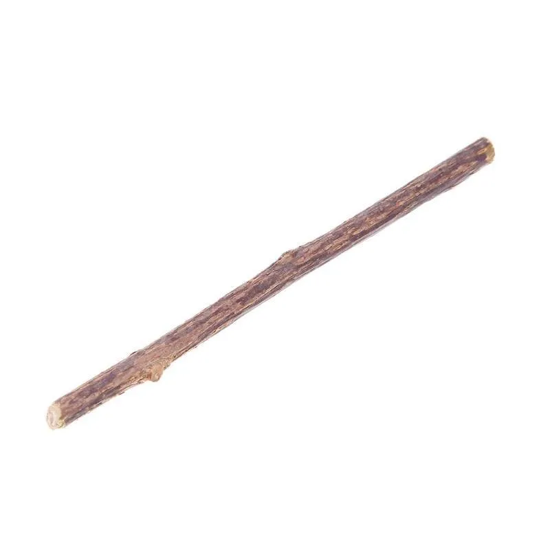 Catnip Teeth-Cleaning Snack Sticks