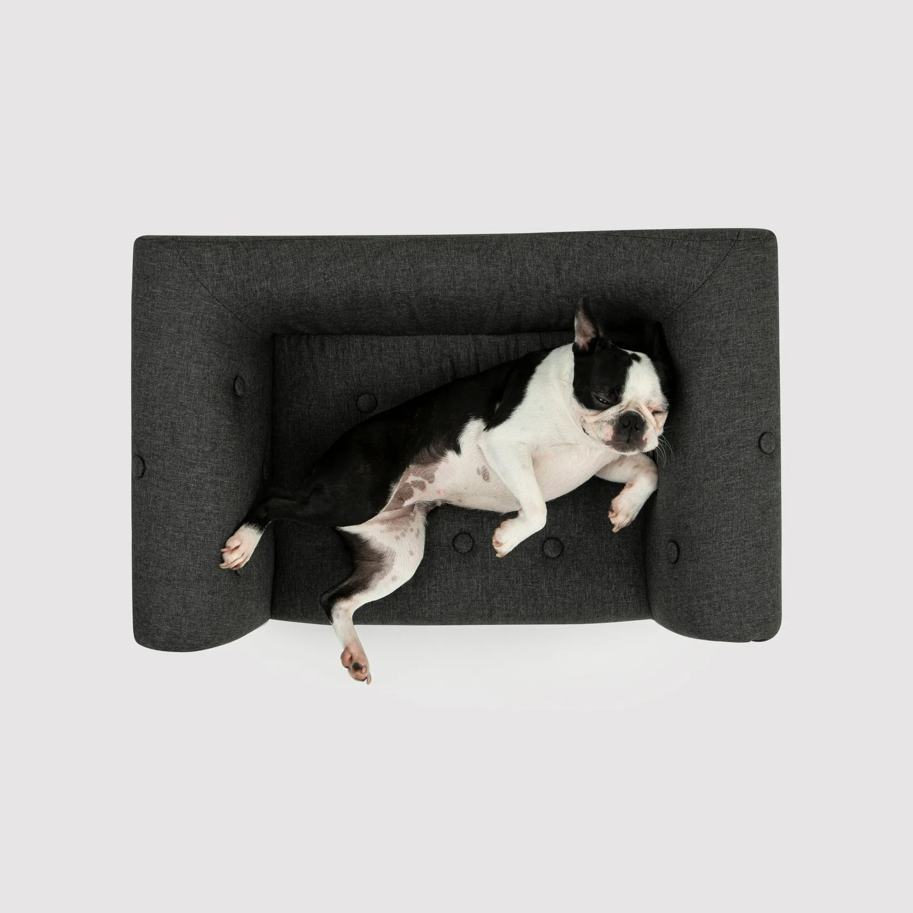 Charlie's Luxe Dog Sofa Charcoal 72 x 41 x 33cm