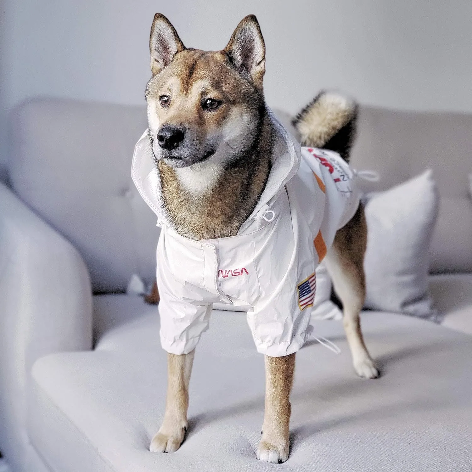 ChoChoCho NASA Raincoats, Reflective Rain Jacket Water Proof, Dog Costume, Cat & Puppy Stylish Streetwear Outfit (White, 2XL)