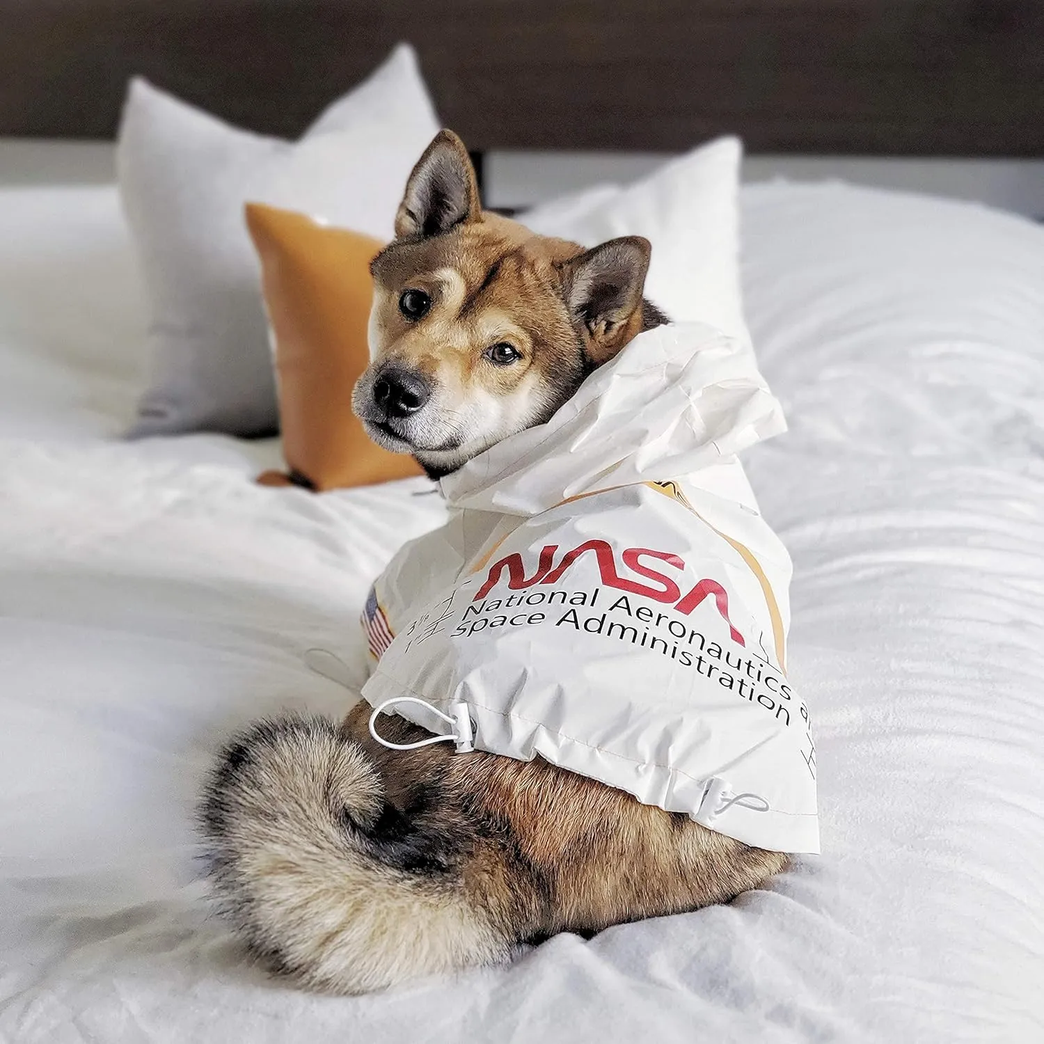 ChoChoCho NASA Raincoats, Reflective Rain Jacket Water Proof, Dog Costume, Cat & Puppy Stylish Streetwear Outfit (White, 2XL)