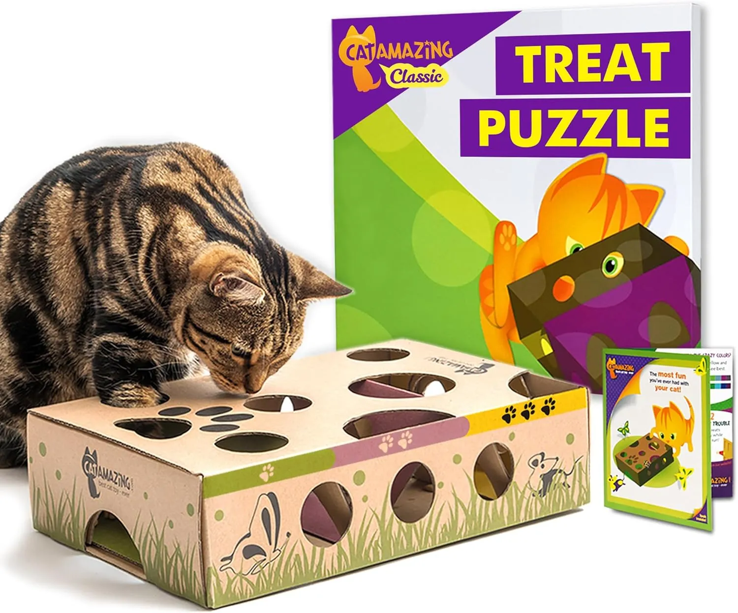 Classic  Cat Puzzle Feeder  Interactive Enrichment Toy  Treat Puzzle Box  Food Maze for Indoor Cats