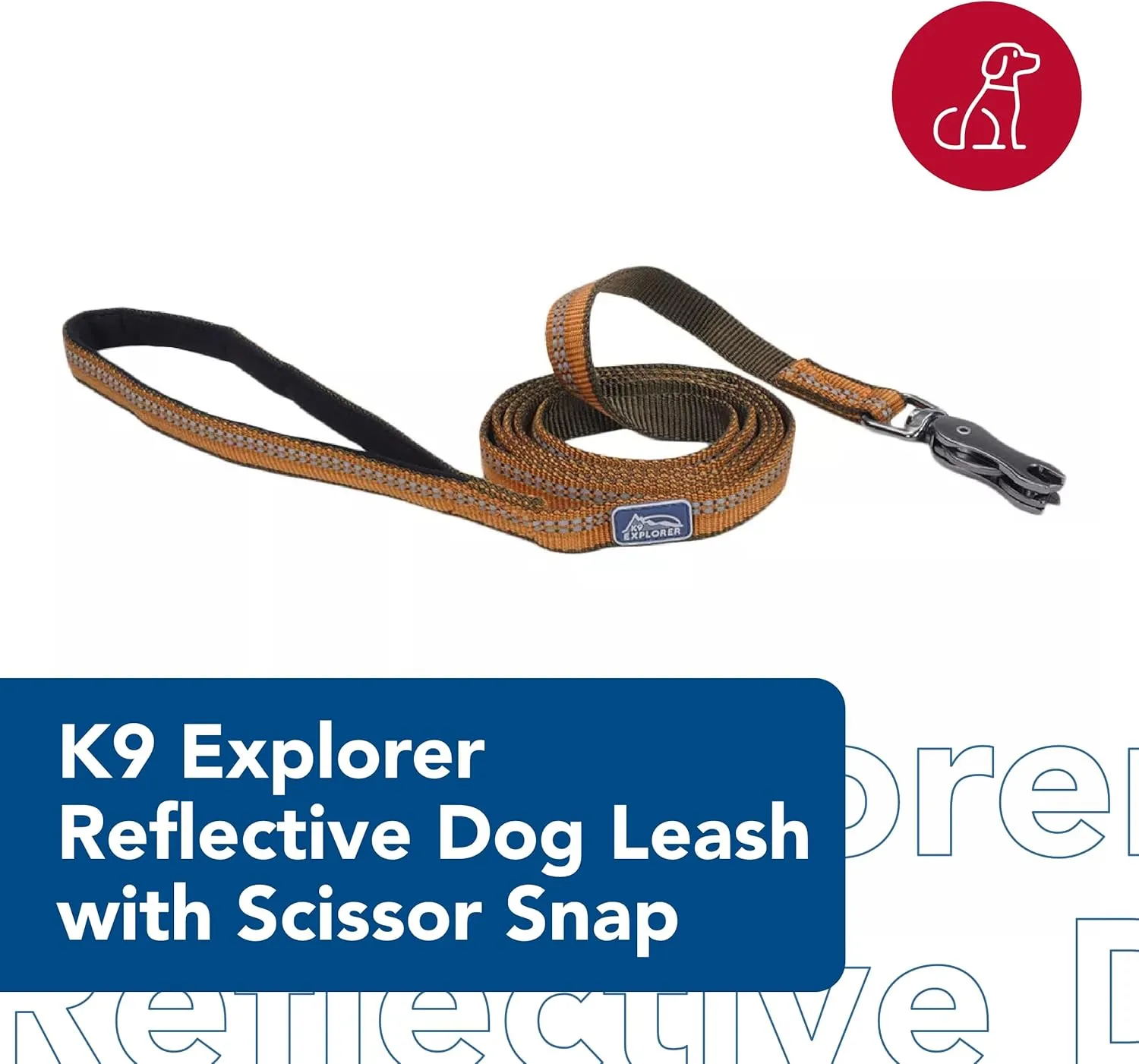 Coastal Pet K9 Explorer Reflective Dog Leash with Scissor Snap - Durable Nylon Leash - Leashes for Dogs & Puppies - Pet Supplies for Dogs - Fern, 1" x 6'