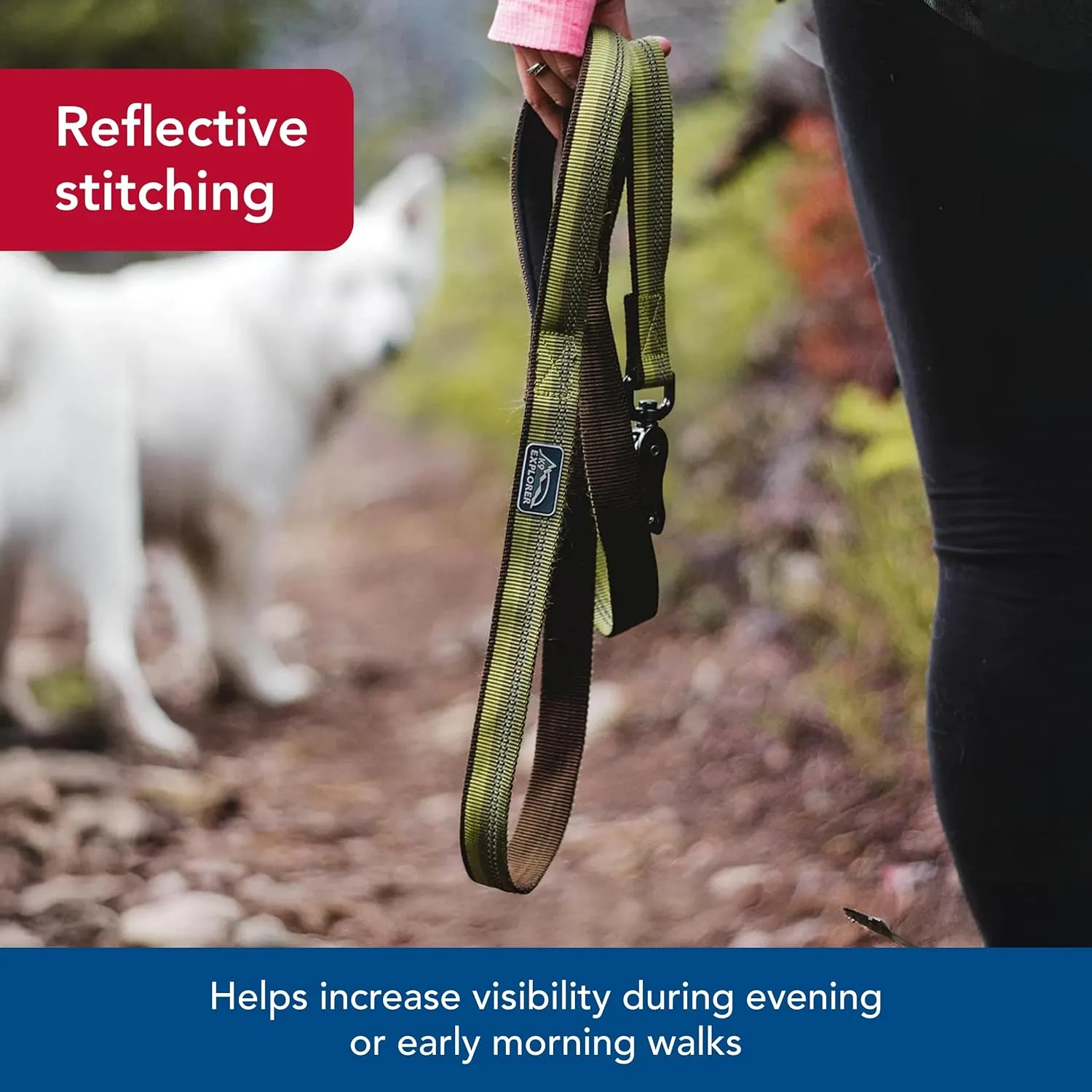 Coastal Pet K9 Explorer Reflective Dog Leash with Scissor Snap - Durable Nylon Leash - Leashes for Dogs & Puppies - Pet Supplies for Dogs - Fern, 1" x 6'