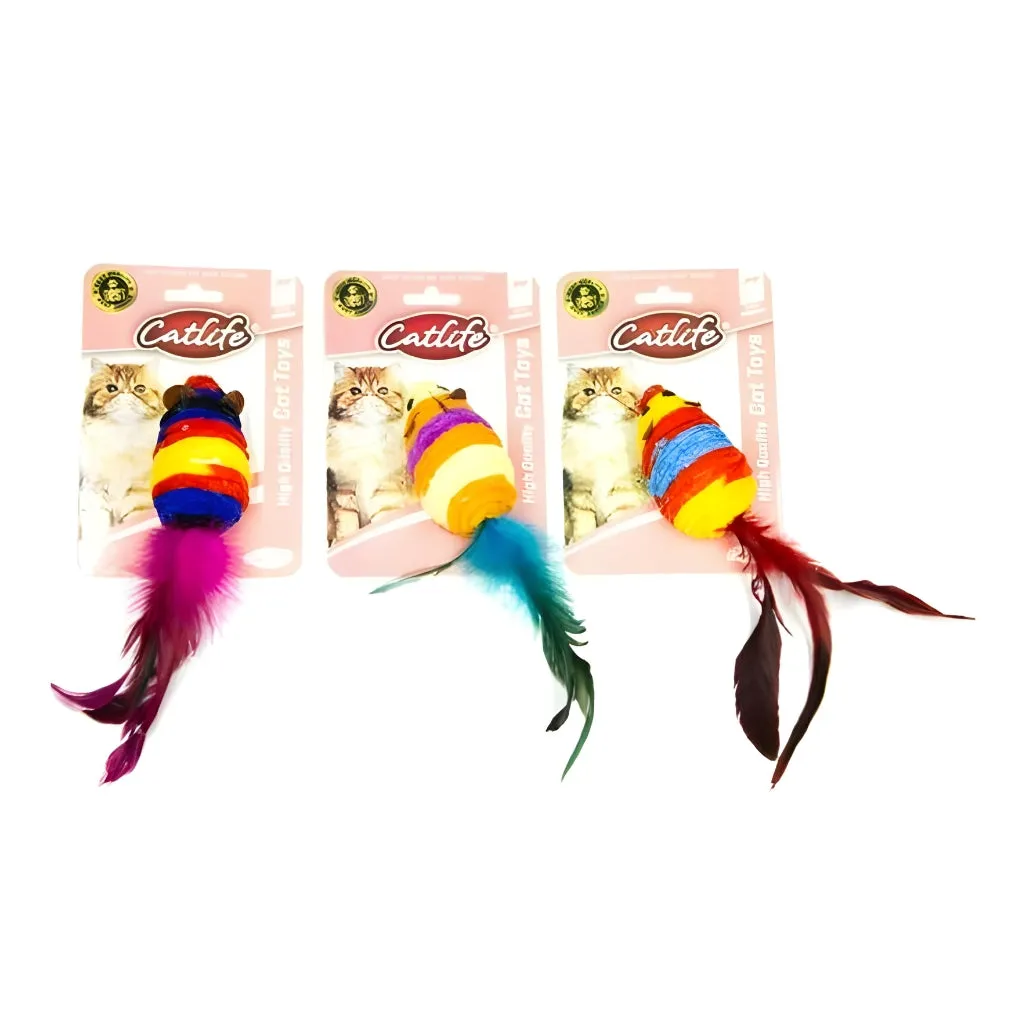 Colorful Feather