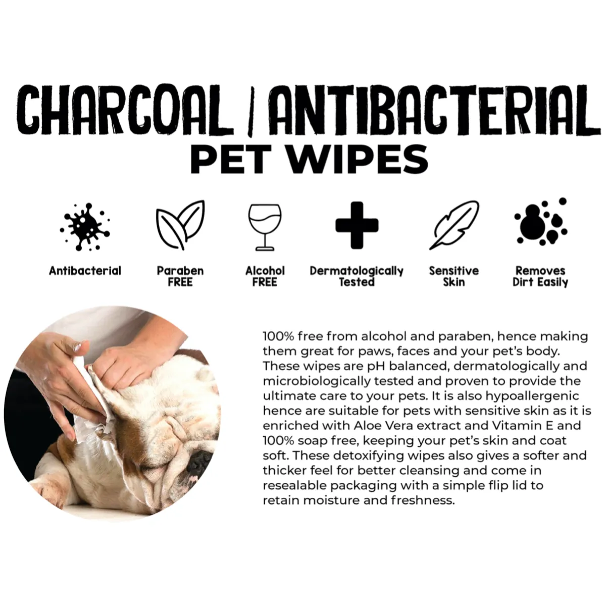 [CTN] Absorb Plus Antibacterial Pet Wipes - Peppermint (80pcs x 12) | Alcohol & Paraben Free