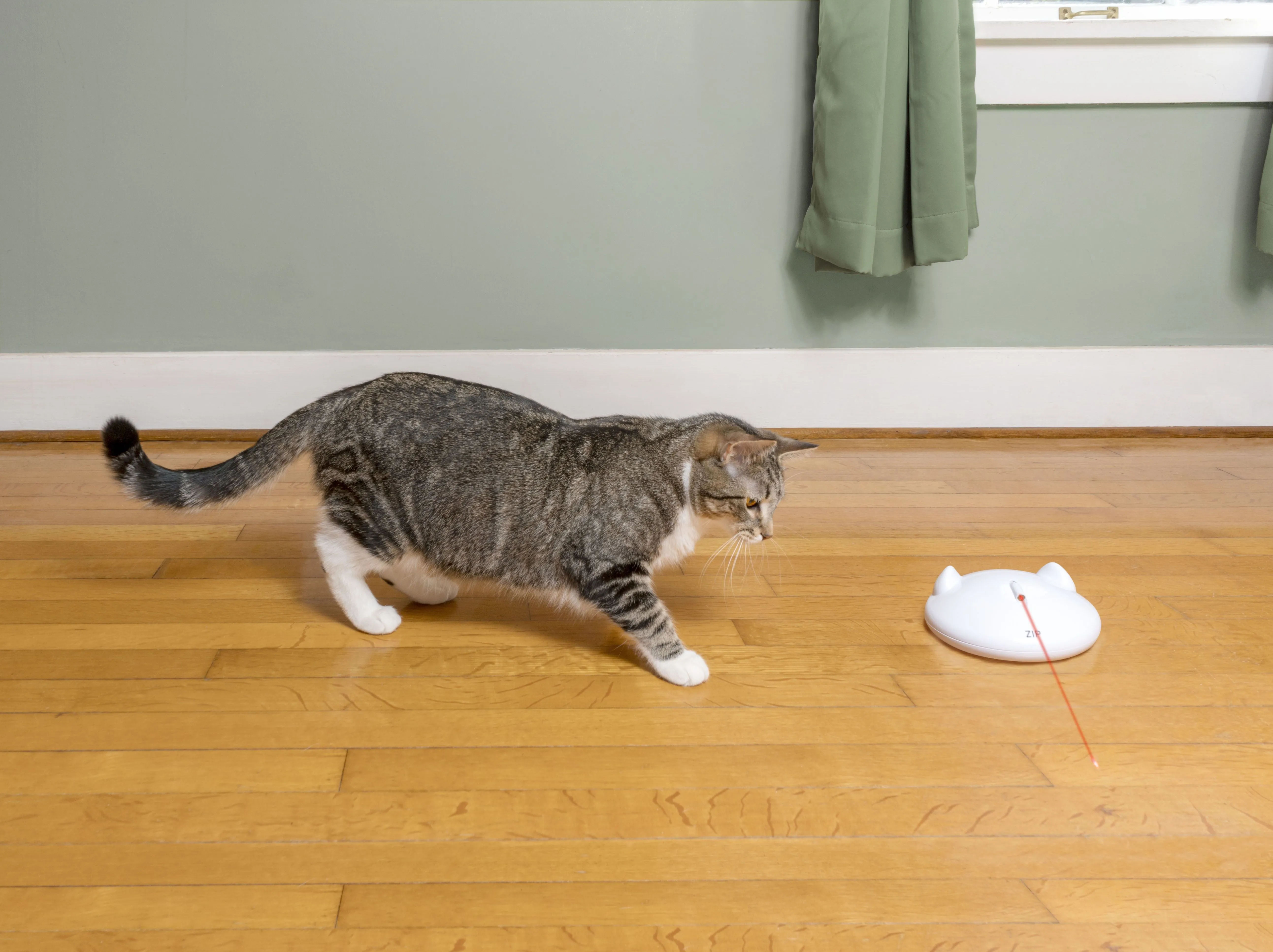 FroliCat® ZIP Automatic Laser Light
