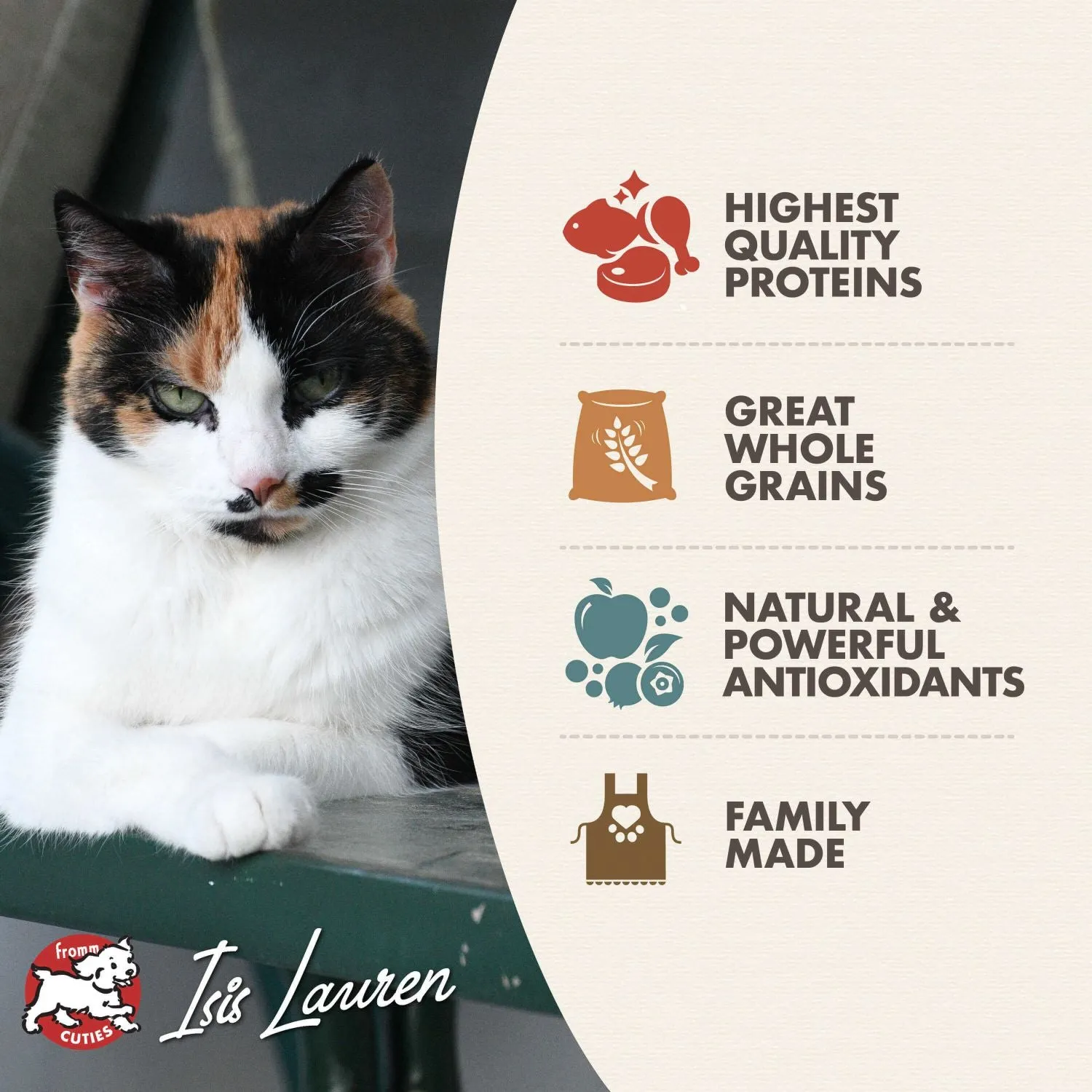 Fromm Gold Adult Cat Dry Food
