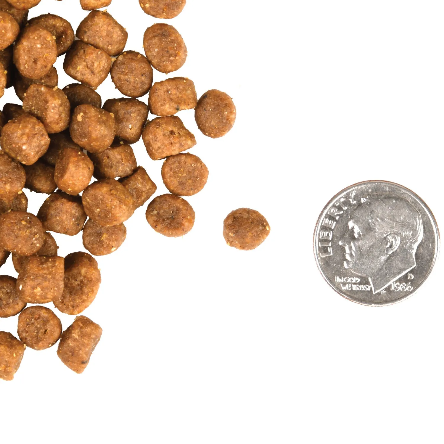 Fromm Gold Adult Cat Dry Food