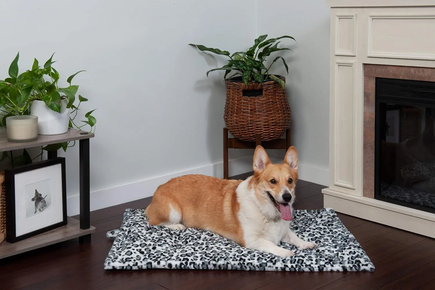 Furhaven ThermaNAP Self-Warming Cat Bed for Indoor Cats & Small Dogs, Washable & Reflects Body Heat - Quilted Faux Fur Reflective Bed Mat - Snow Leopard, Small