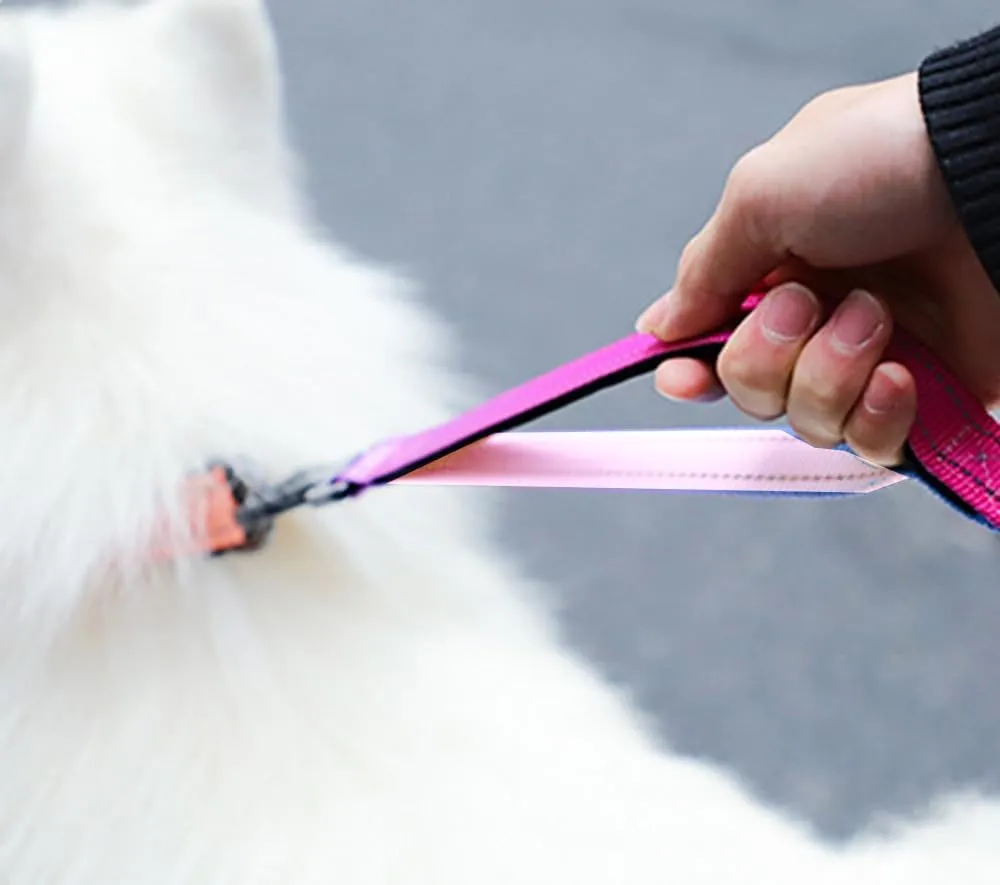 Hands Free Dog Leash with Reflective Stitching Heavy Duty Bungee with Car Seatbelt Adjustable Waist Leashes for Walking Running Hiking (Rose)