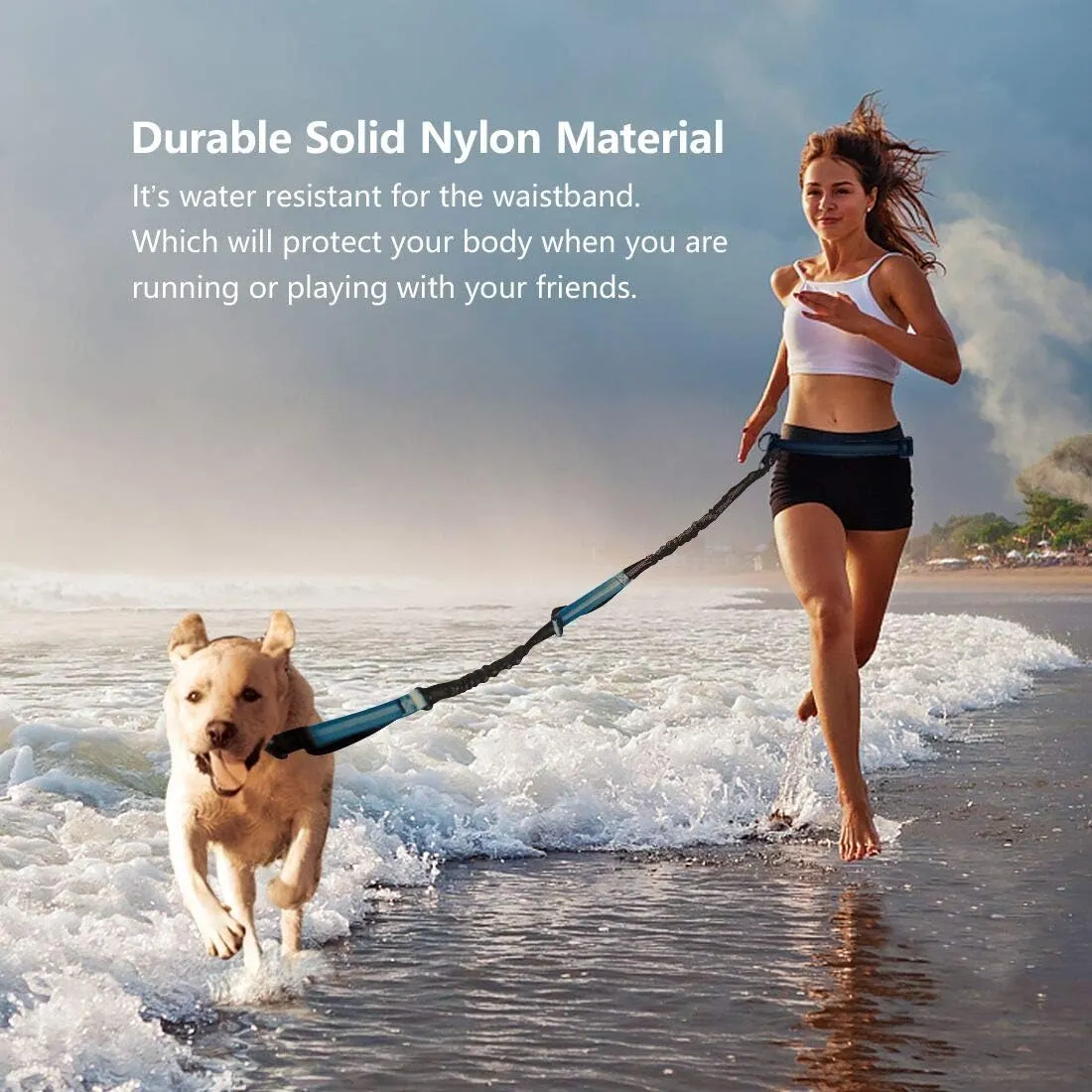 Hands Free Dog Running Leash with Adjustable Waist Belt, Dual Handle Elastic Bungees Retractable Rope for Medium and Large Dogs, Reflective Stitches for Walking Hiking Biking (Large, 25-120lb)