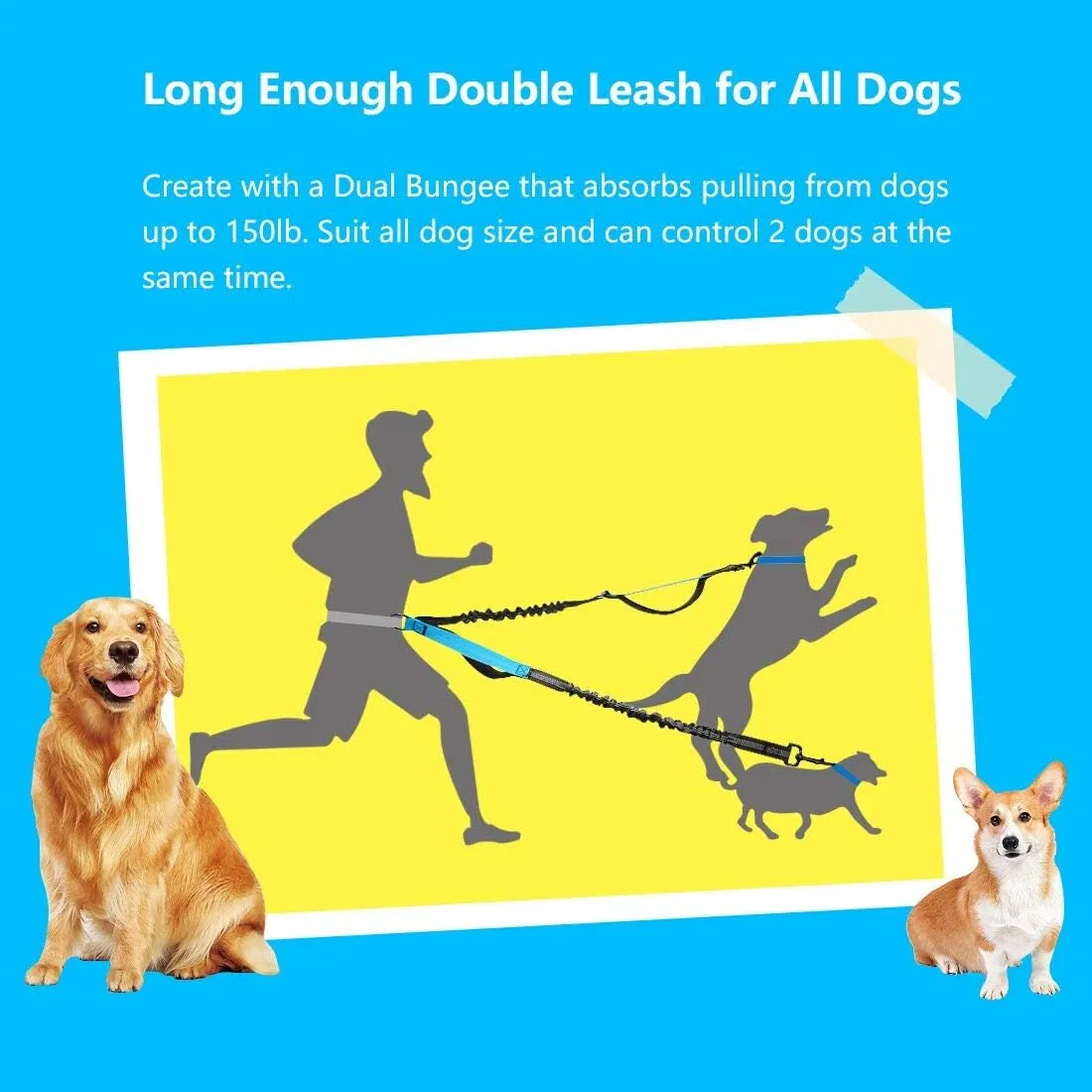 Hands Free Dog Running Leash with Adjustable Waist Belt, Dual Handle Elastic Bungees Retractable Rope for Medium and Large Dogs, Reflective Stitches for Walking Hiking Biking (Large, 25-120lb)