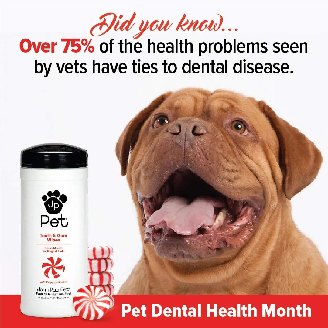 John Paul Pet Tooth & Gum Cat and Dog Dental Wipes - 45 Count