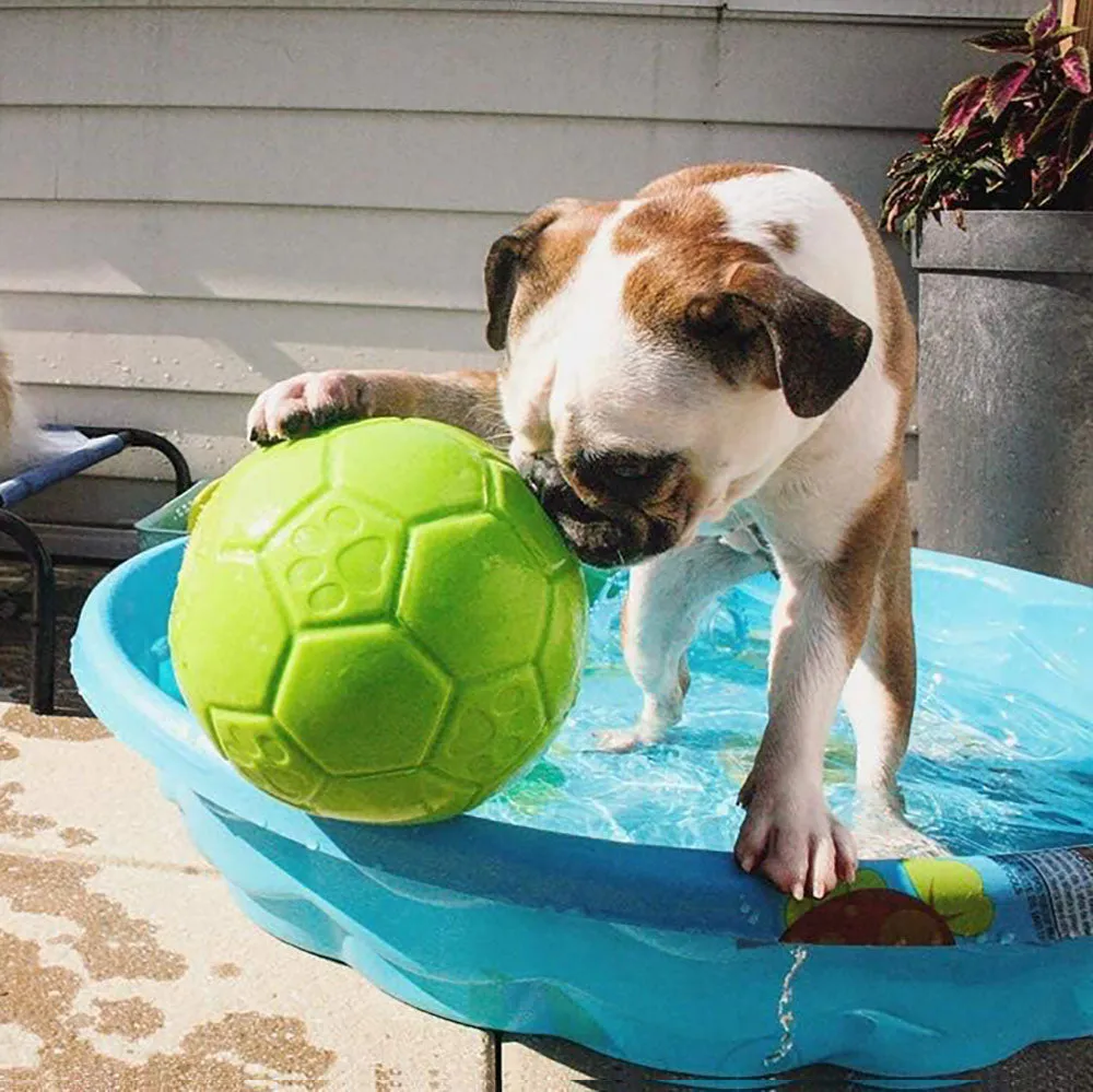 Jolly Soccer Ball