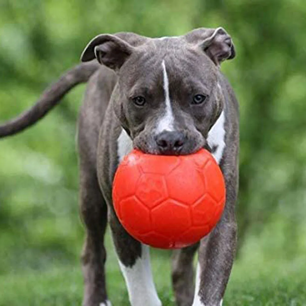 Jolly Soccer Ball