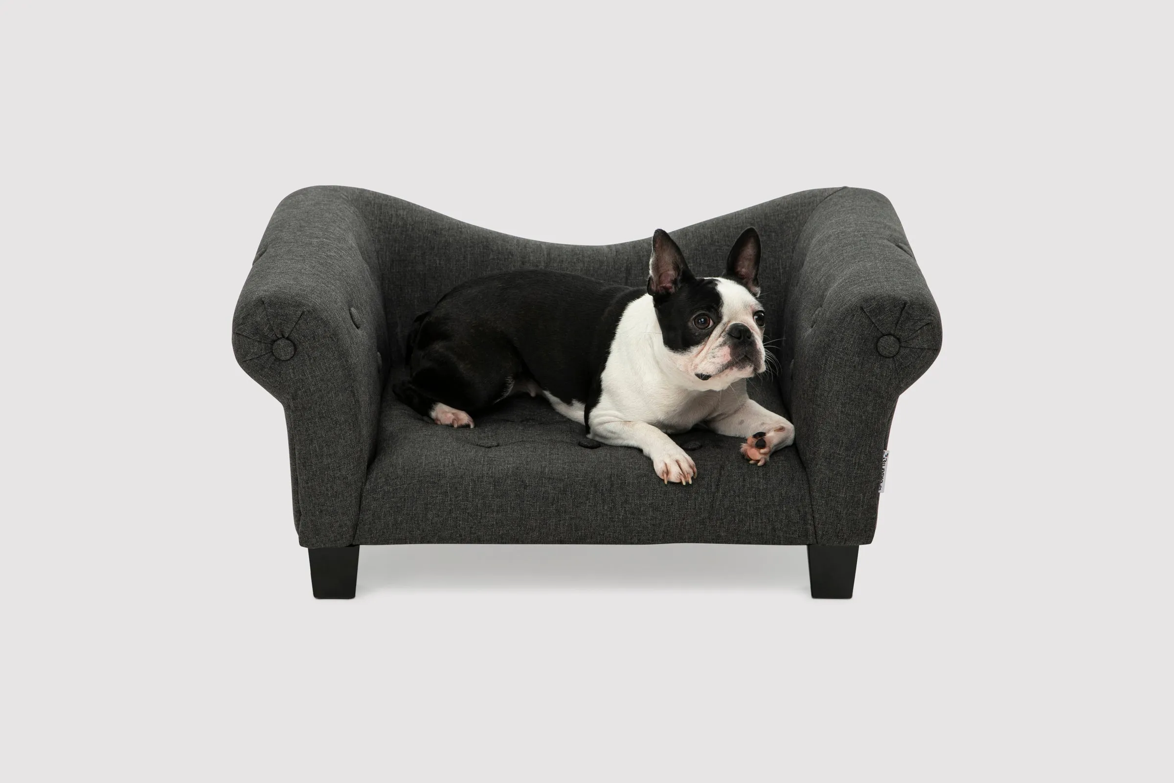 Luxe Button Pet Sofa - Charcoal
