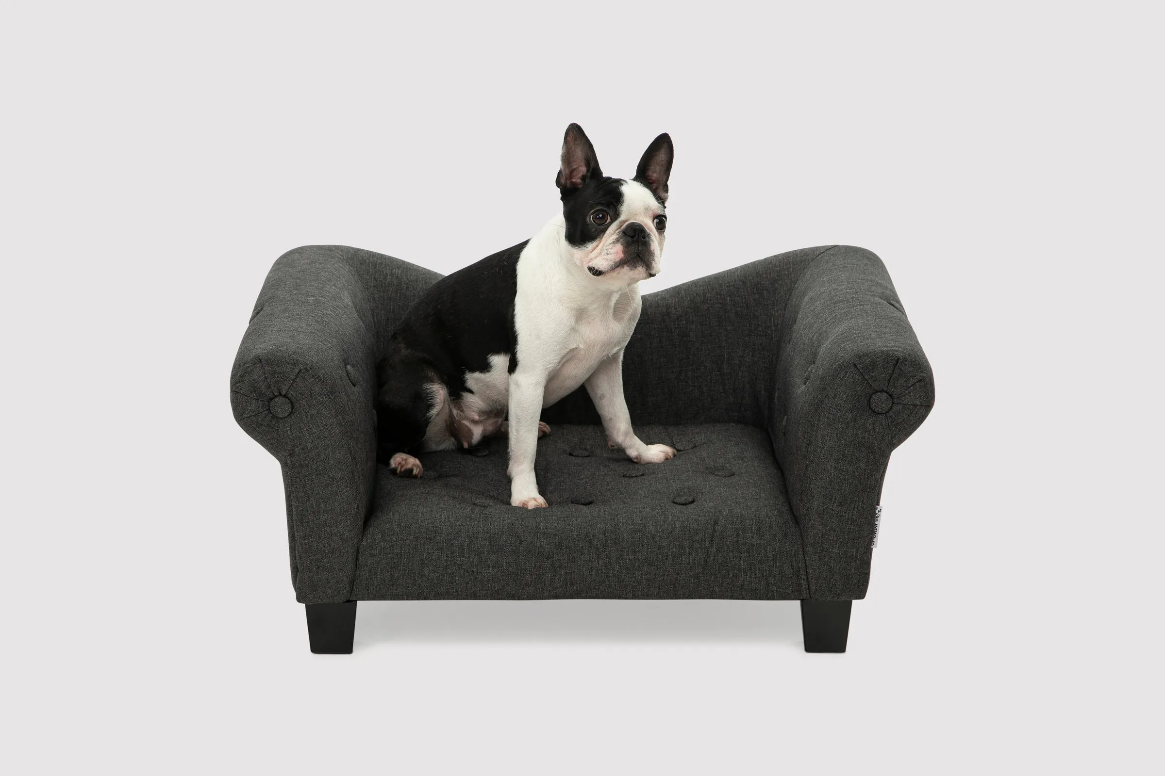 Luxe Button Pet Sofa - Charcoal