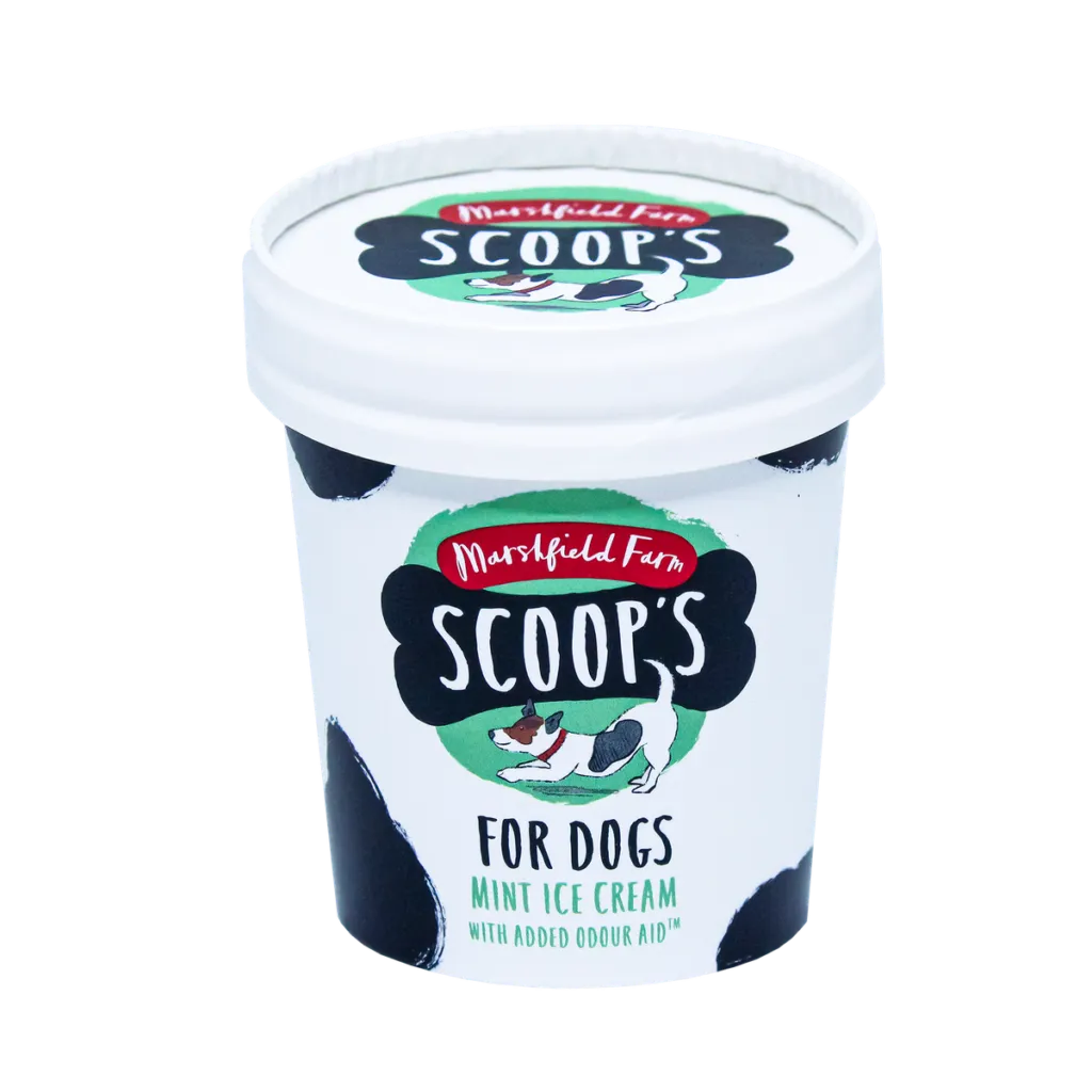 Marshfields Dog Icecream - Mint