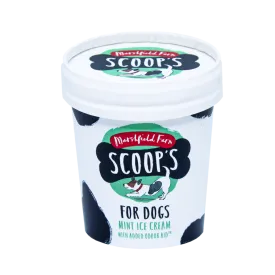 Marshfields Dog Icecream - Mint