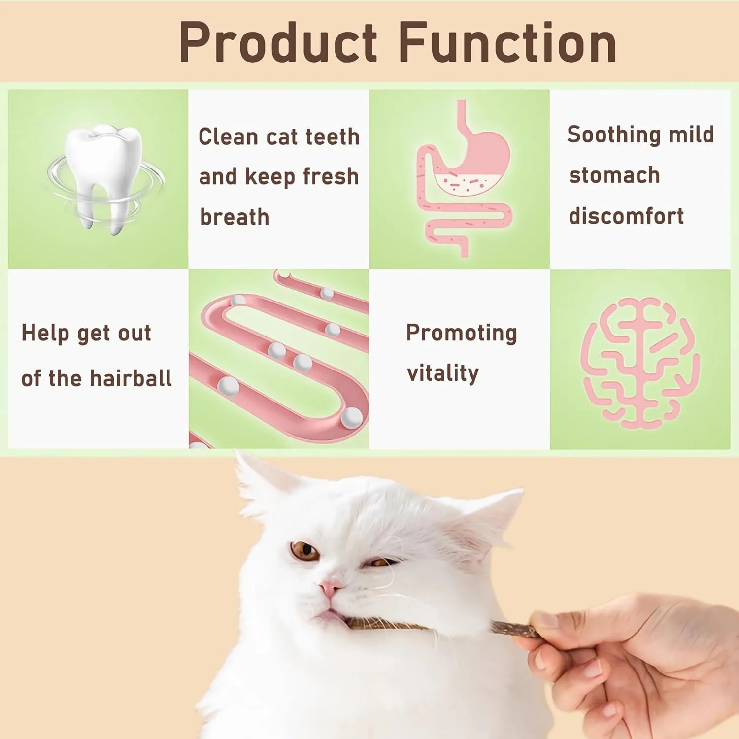 Natural Silvervine Sticks for Cats,Catnip Cat & Kitten Chew Toys Teeth Cleaning, Matatabi Cat Treat, Edible Kitty Toys (12PC)