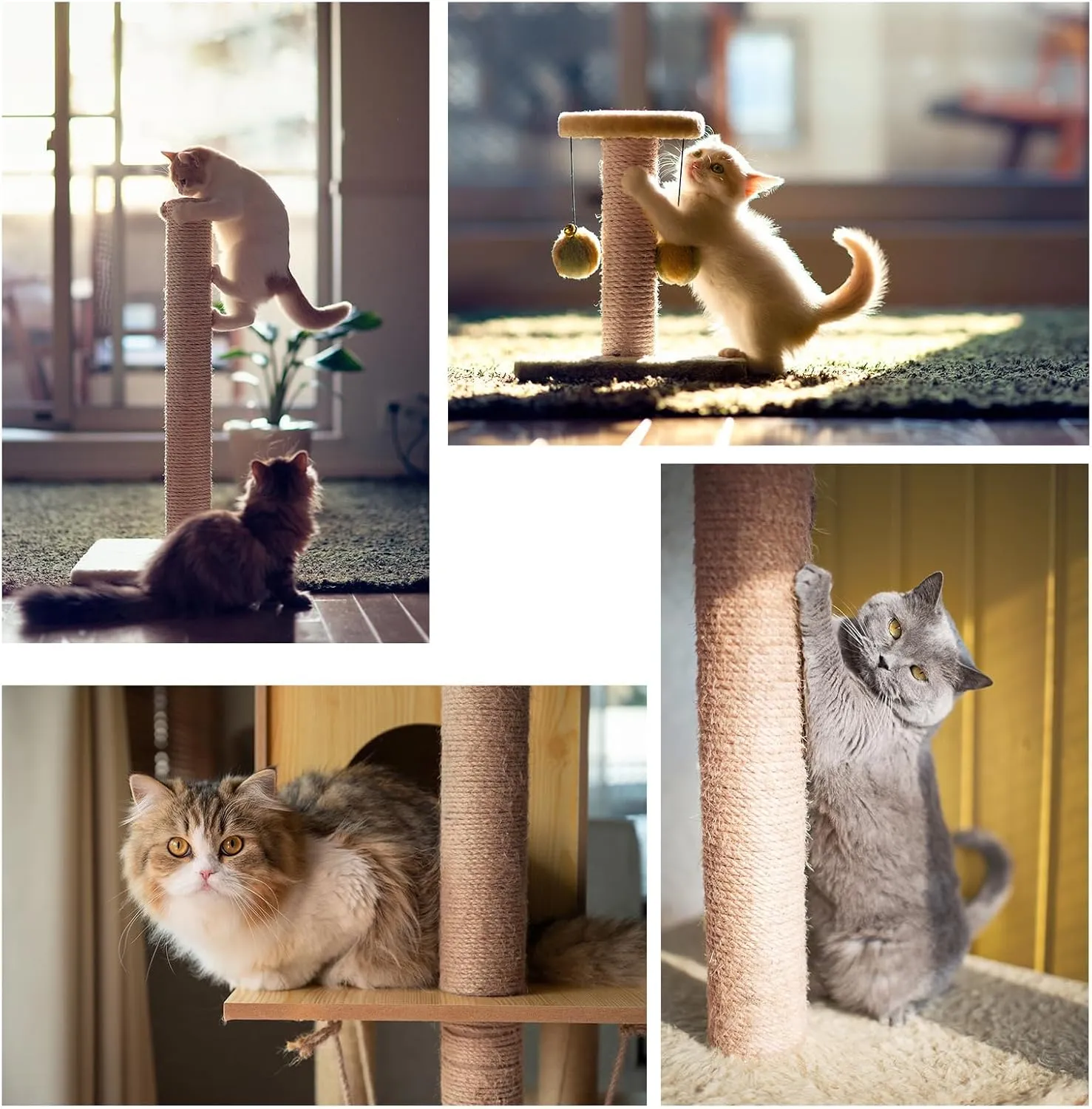 Natural Sisal Rope for Cat Scratcher,Cat Tree Rope Twine for Cat Scratching Post Replacement, Cat Tower with Scratch Post Repairing, Replace, Recovering and DIY1/4 Inch by 33 Feet