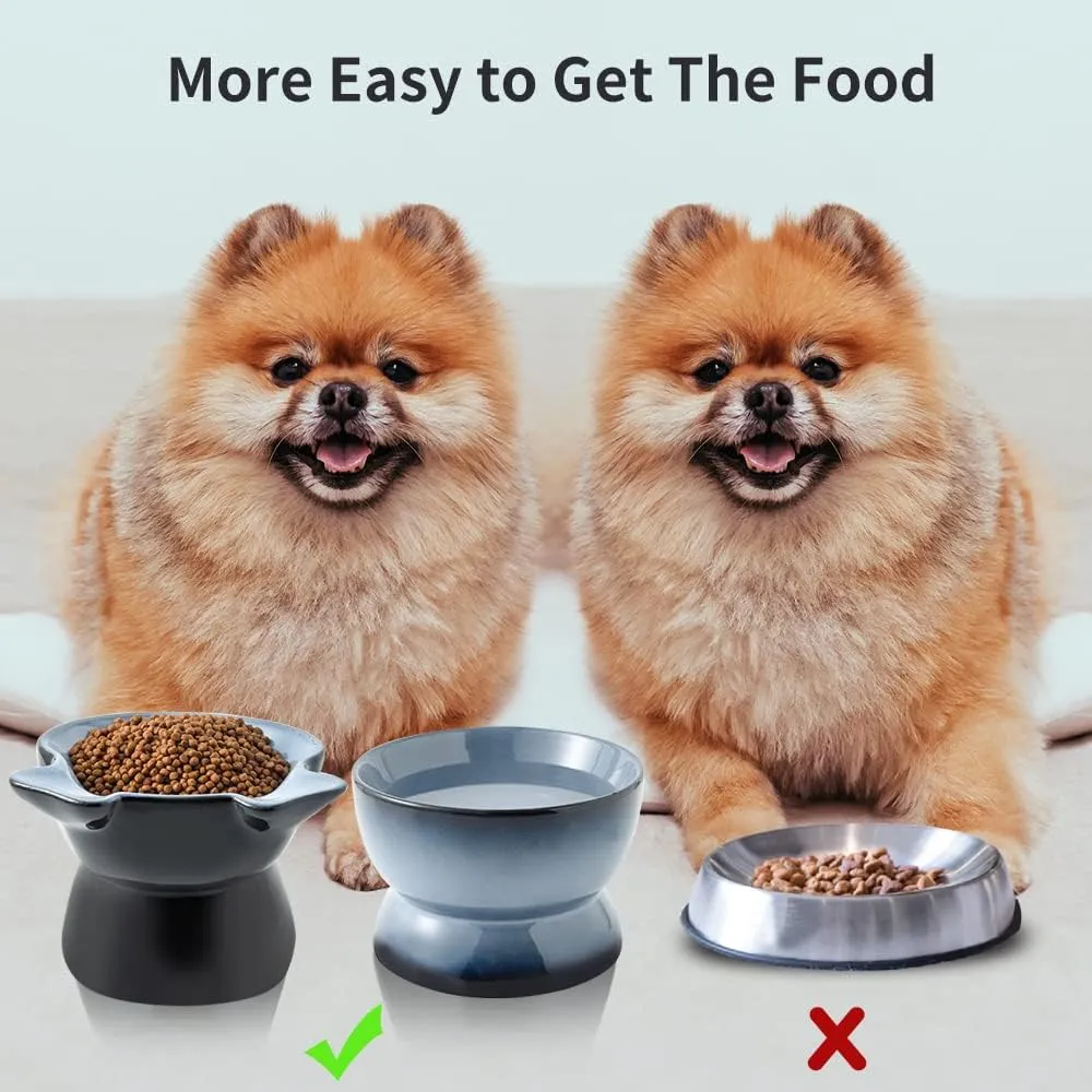 Nihow Dog Food & Water Bowl Set: Elevated Ceramic Dog Bowls for Medium/Small Size Dog - Food Safe Raised Puppy Bowls - Gray Pet Bowl for Protecting Pet's Spine (Set of 2)