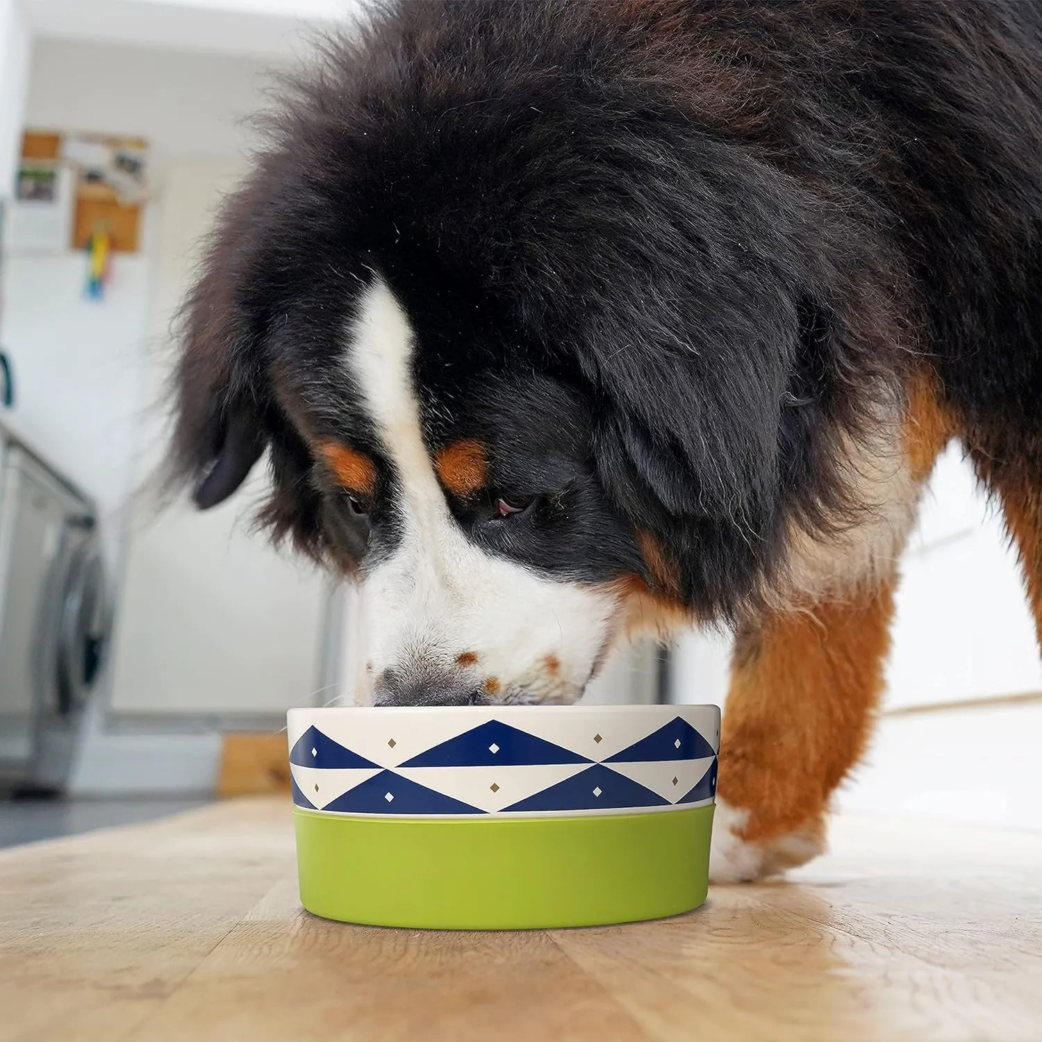 Now House for Pets by Jonathan Adler Oslo Duo Dog Bowl, Large Cute Ceramic Food and Water Bowl, Green (FF16469)