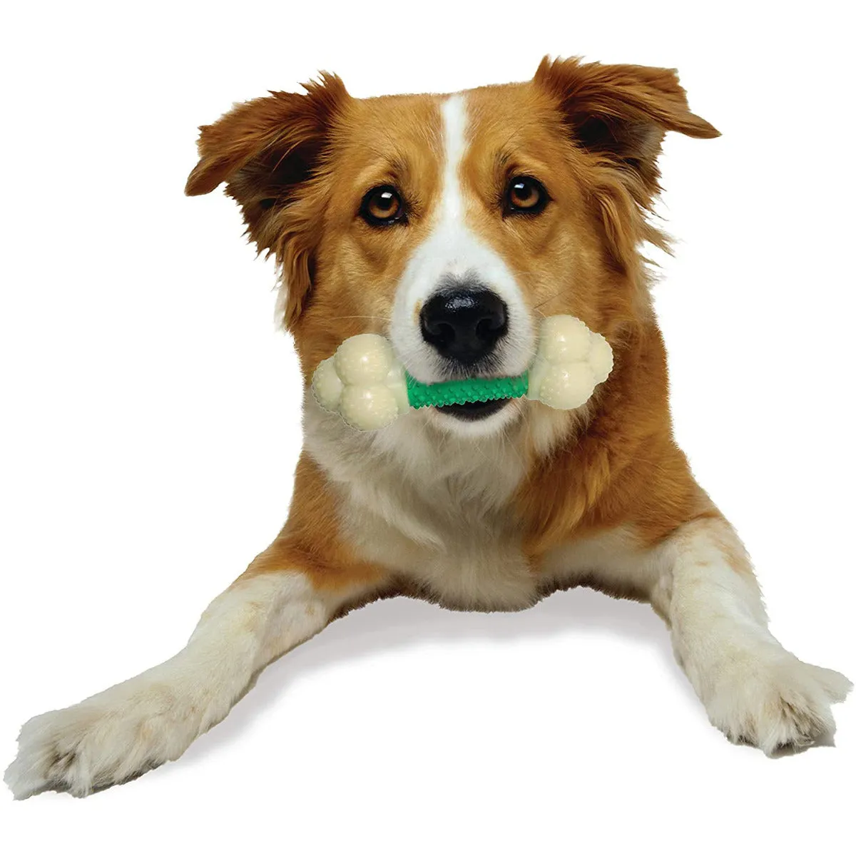 Nylabone DuraChew Double Action Chew Bacon
