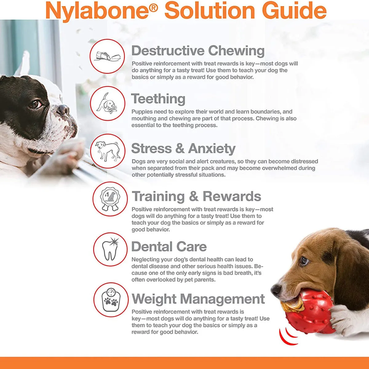Nylabone DuraChew Double Action Chew Bacon