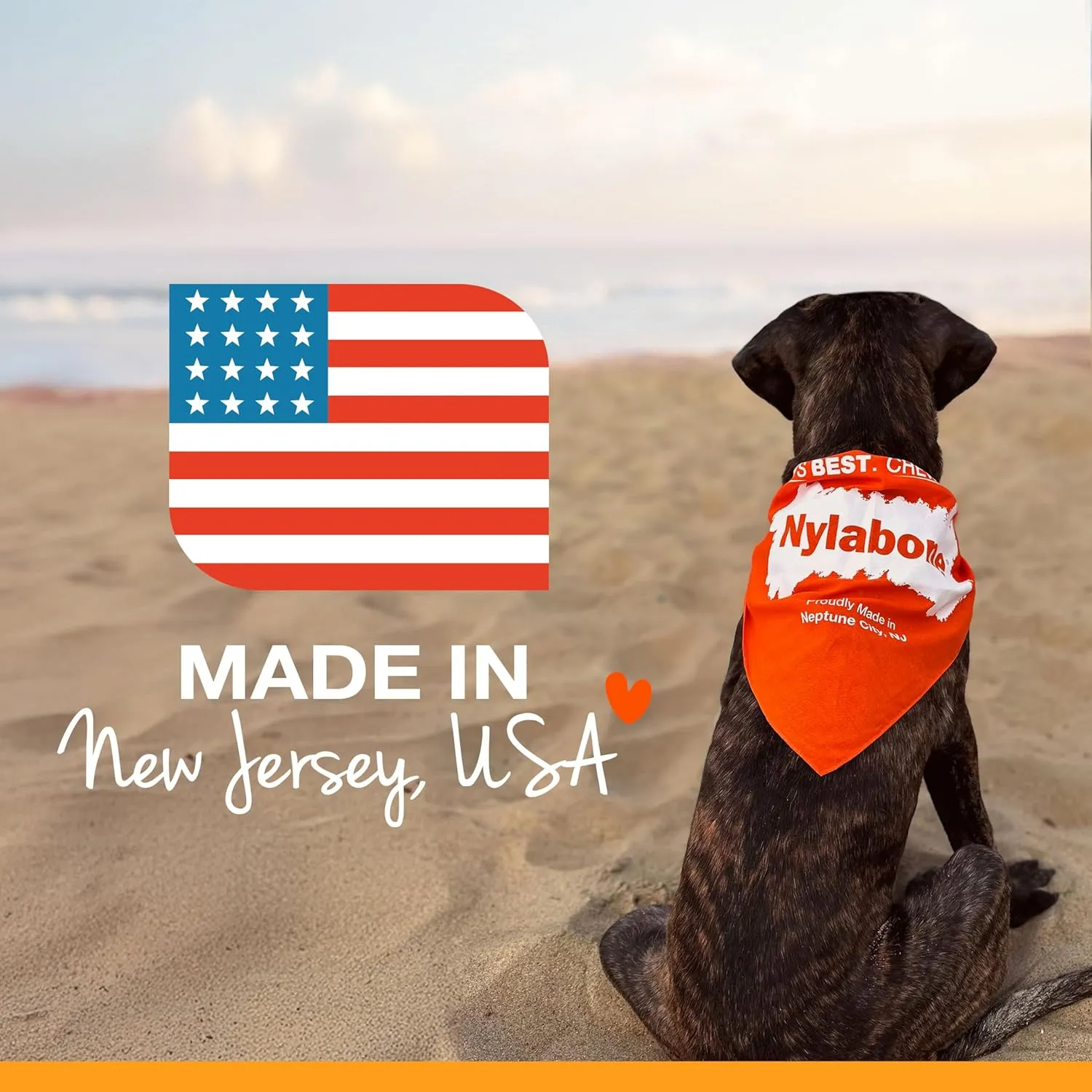 Nylabone Healthy Edibles Natural Dog Chews Long Lasting Bacon Flavor Treats for Dogs, X-Small/Petite (8 Count)