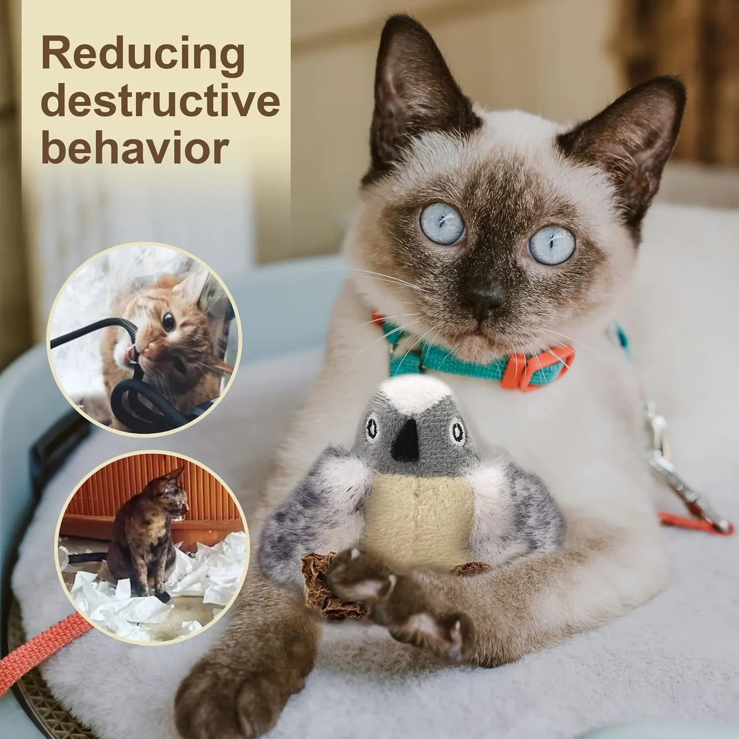 PAZ'S GIFT Catnip Toys - Cat Kick & Rope Toys for Indoor Play, Cat & Kitten Teething Chew Toys for Aggressive Chewing & Teeth Cleaning (Catnip Birdie)