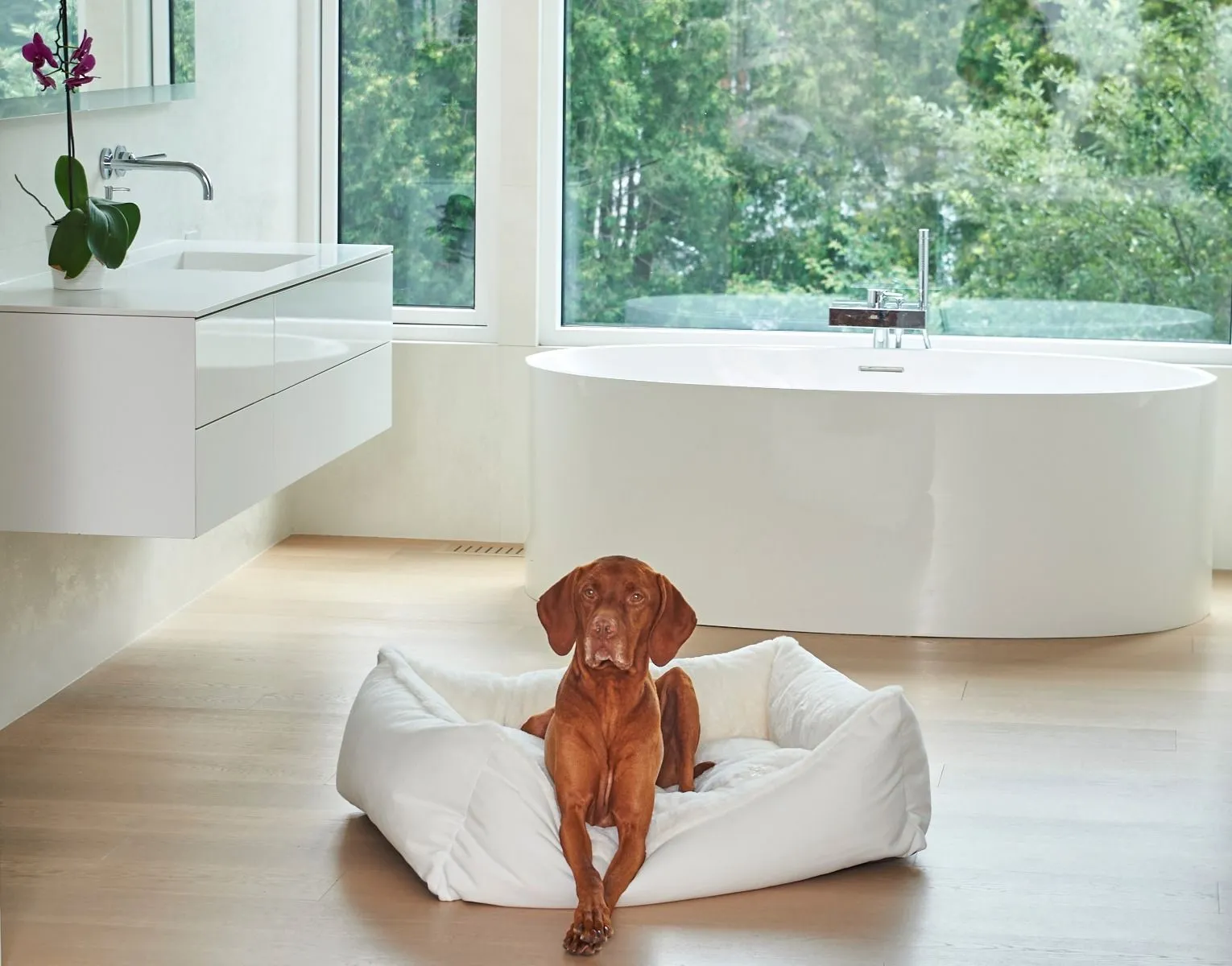 Pet Bed-Scoop Shape-White Color-Faux Fur