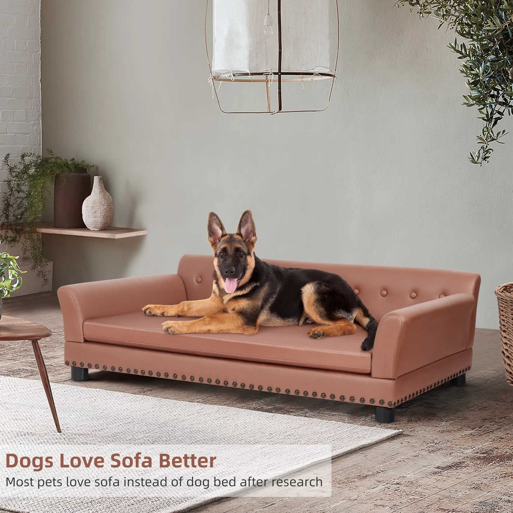 Pet Sofa Bed Pet Snuggle Lounge with Removable Cushion for Kittens Puppies