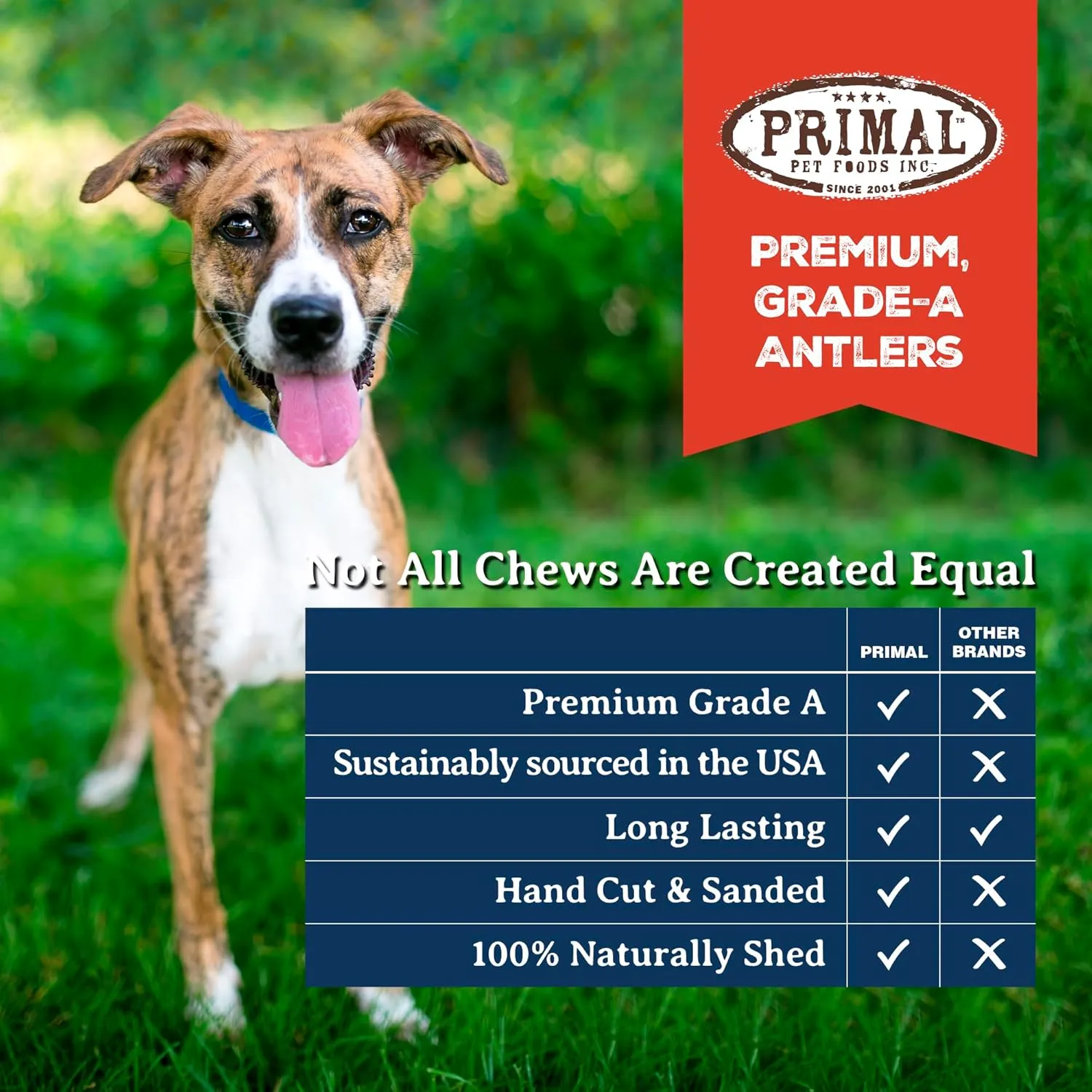 Primal Antlers for Dogs, Grade A Split Elk Antlers for Large Canines 45-60 lb, Natural Chews for Aggressive Chewers, Naturally Shed, Long Lasting Dog Bones, 1 ct