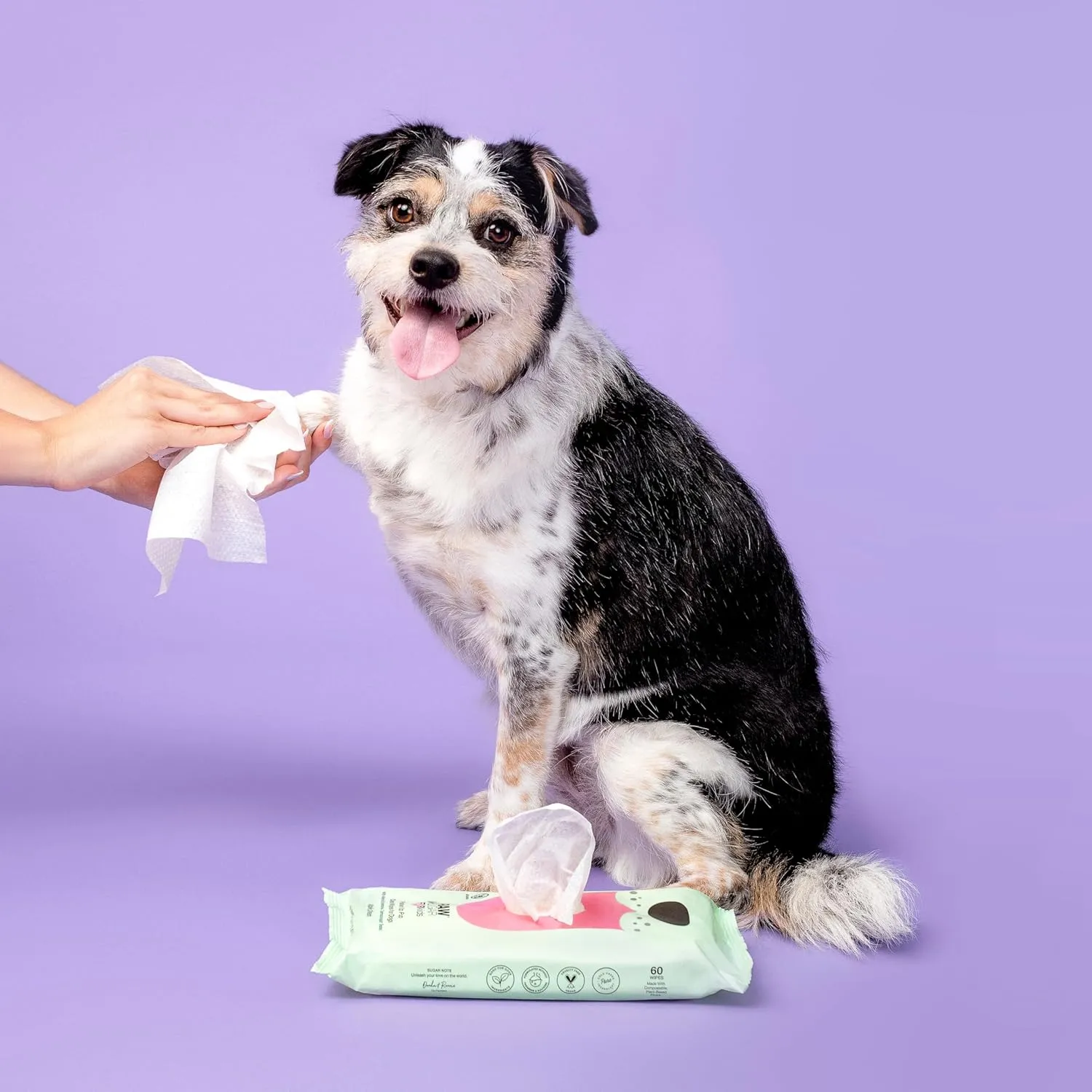 RAW SUGAR Dog Wipes, Fur Kids Waterless Pet Wipes, 3 Pack, 60 Ct, Dog Grooming, Cleaning & Deodorizing, with Chamomile & Aloe Vera for Paws, Coat, Face & Ears, Vegan & Cruelty-Free, Apple Cream