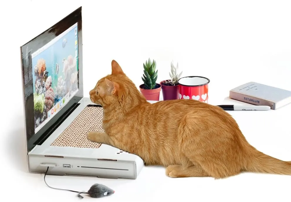 Suck UK | Cat Laptop | Cat Scratching Board | Cardboard Scratchers | Scratch Pad & Kitten Scratching Mat | Funny Furniture | Interactive Toy & Kitten Toys Gifts Cats