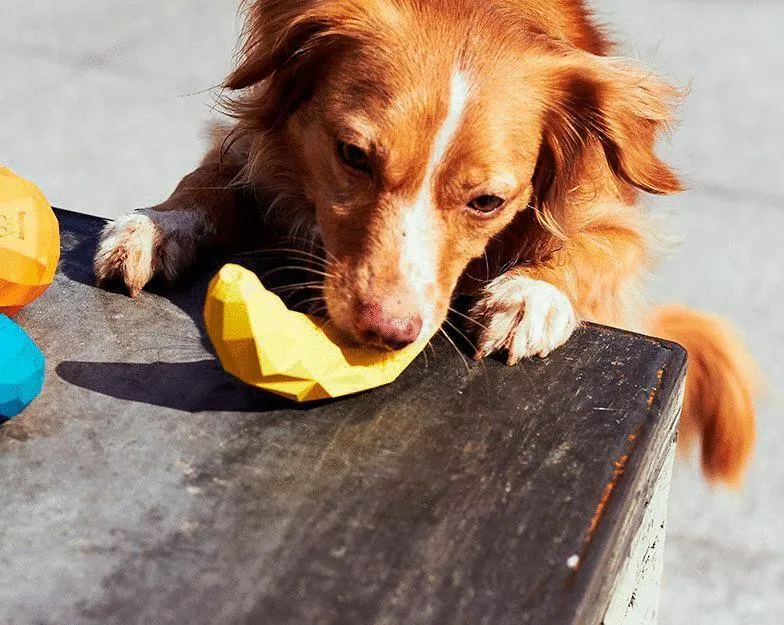 SUPER FRUITZ BANANA