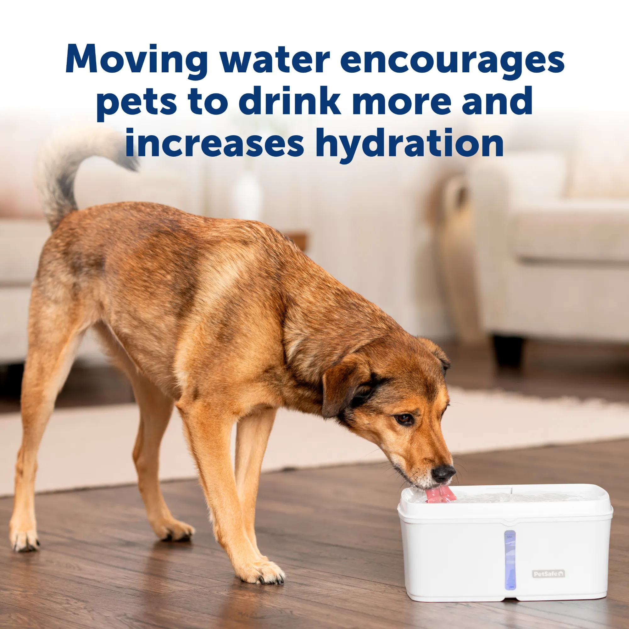 Viva Pet Fountain, 4.1 litre