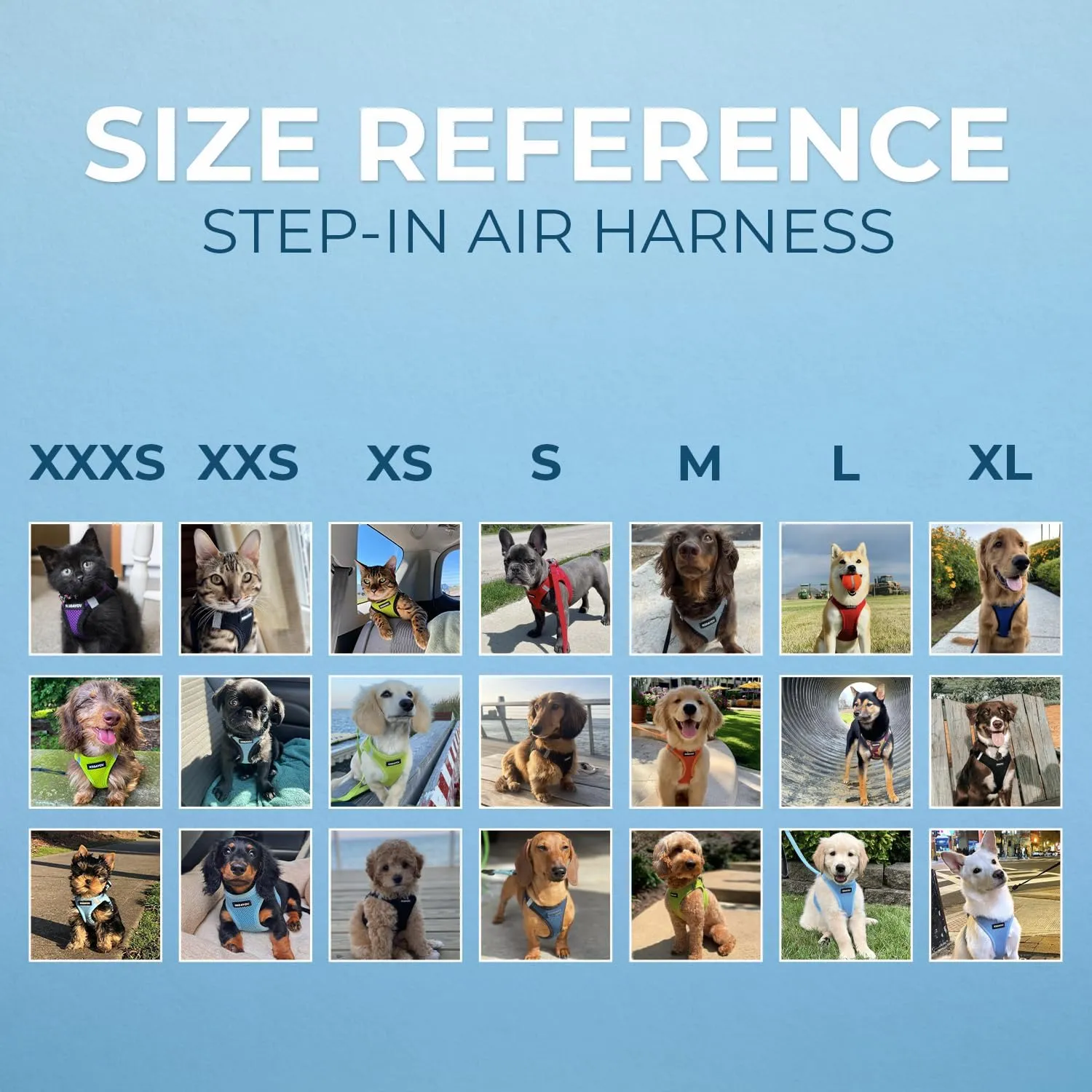 Voyager Step-In Air Dog Harness - All Weather Mesh, Reflective, No Pull Harness for Small, Medium Dogs, Cats - Secure with Hook & Loop Fastener, Buckle, Double D-Rings - Blue/Black Trim, L