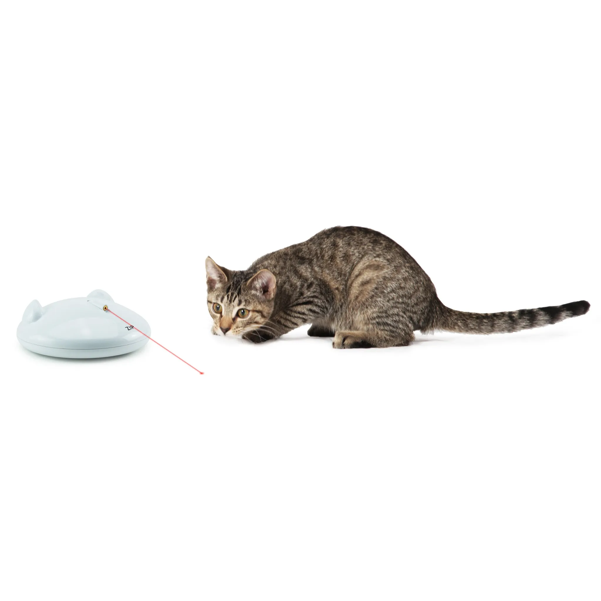 ZIP Automatic Laser Light
